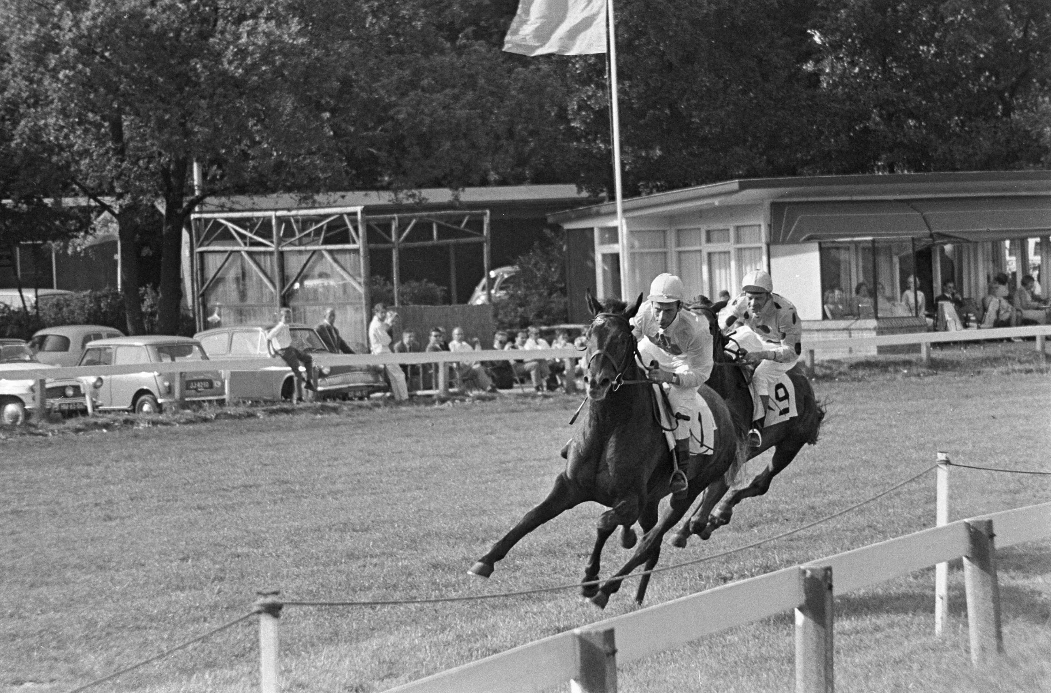 Fotocollectie Anefo — Draverij te Duindigt, Kampioenschap van Nederland — Foto: Nijs, Jac. de / Anefo. Licentie: Set B: Rechtenvrij / Publiek Domein. Bron: Nationaal Archief. http://hdl.handle.net/10648/aaf70488-d0b4-102d-bcf8-003048976d84