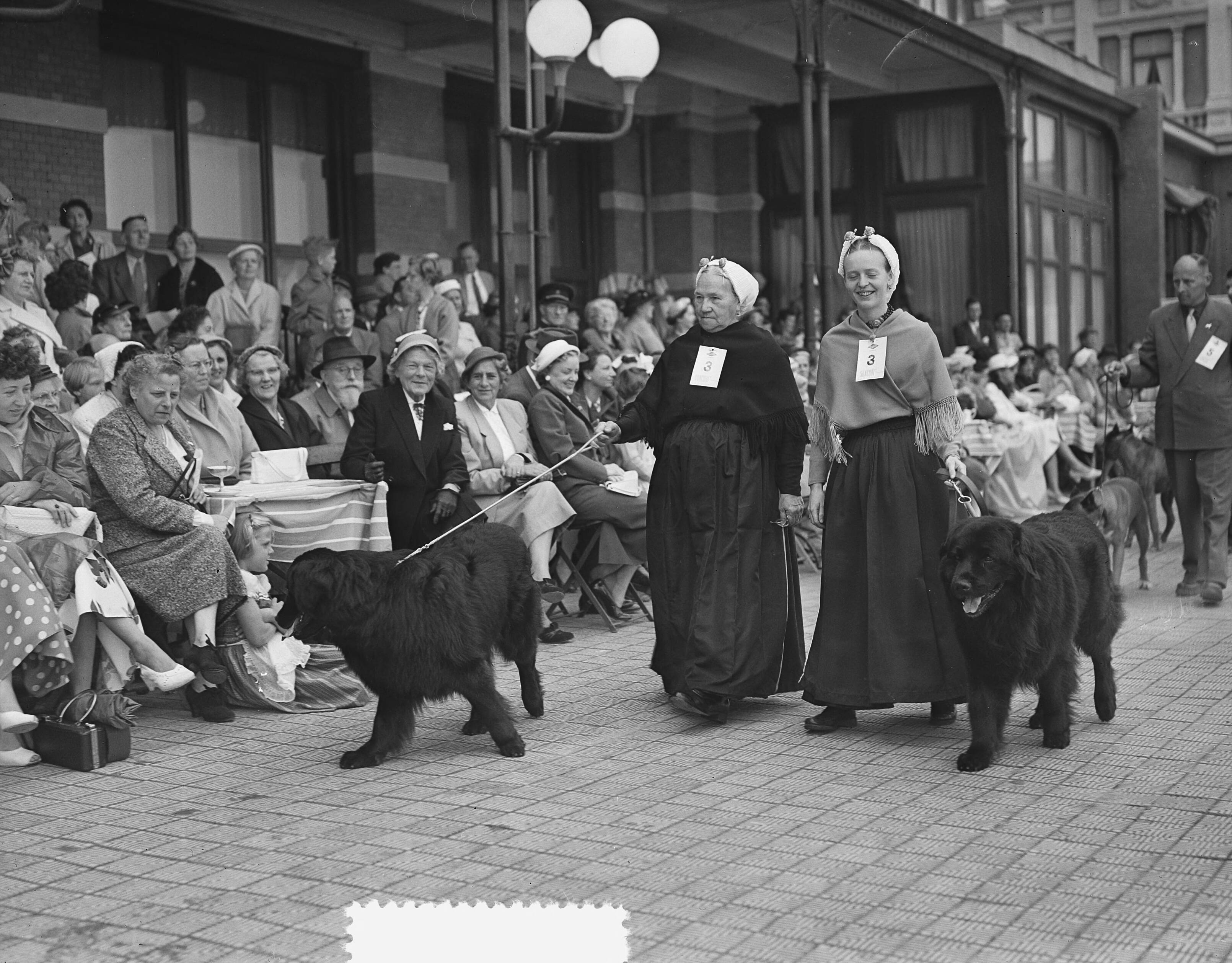 Fotocollectie Anefo — Hondenparade terras Kurhaus Scheveningen — Foto: Bilsen, Joop van / Anefo. Licentie: Set B: Rechtenvrij / Publiek Domein. Bron: Nationaal Archief. http://hdl.handle.net/10648/a939257c-d0b4-102d-bcf8-003048976d84