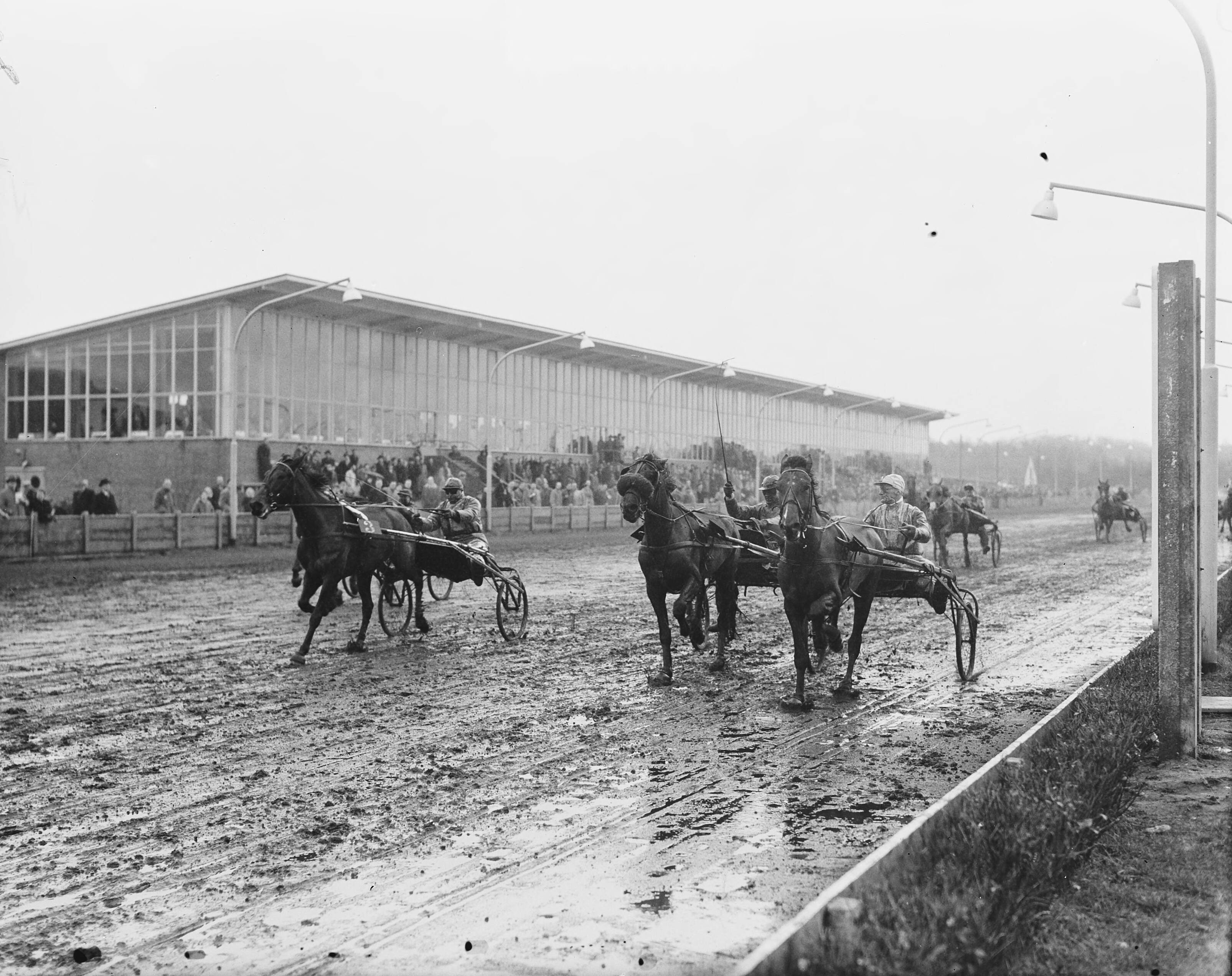 Fotocollectie Anefo — Draverijen Hilversum — Foto: Duinen, H. van / Anefo. Licentie: Set B: Rechtenvrij / Publiek Domein. Bron: Nationaal Archief. http://hdl.handle.net/10648/a91b045c-d0b4-102d-bcf8-003048976d84