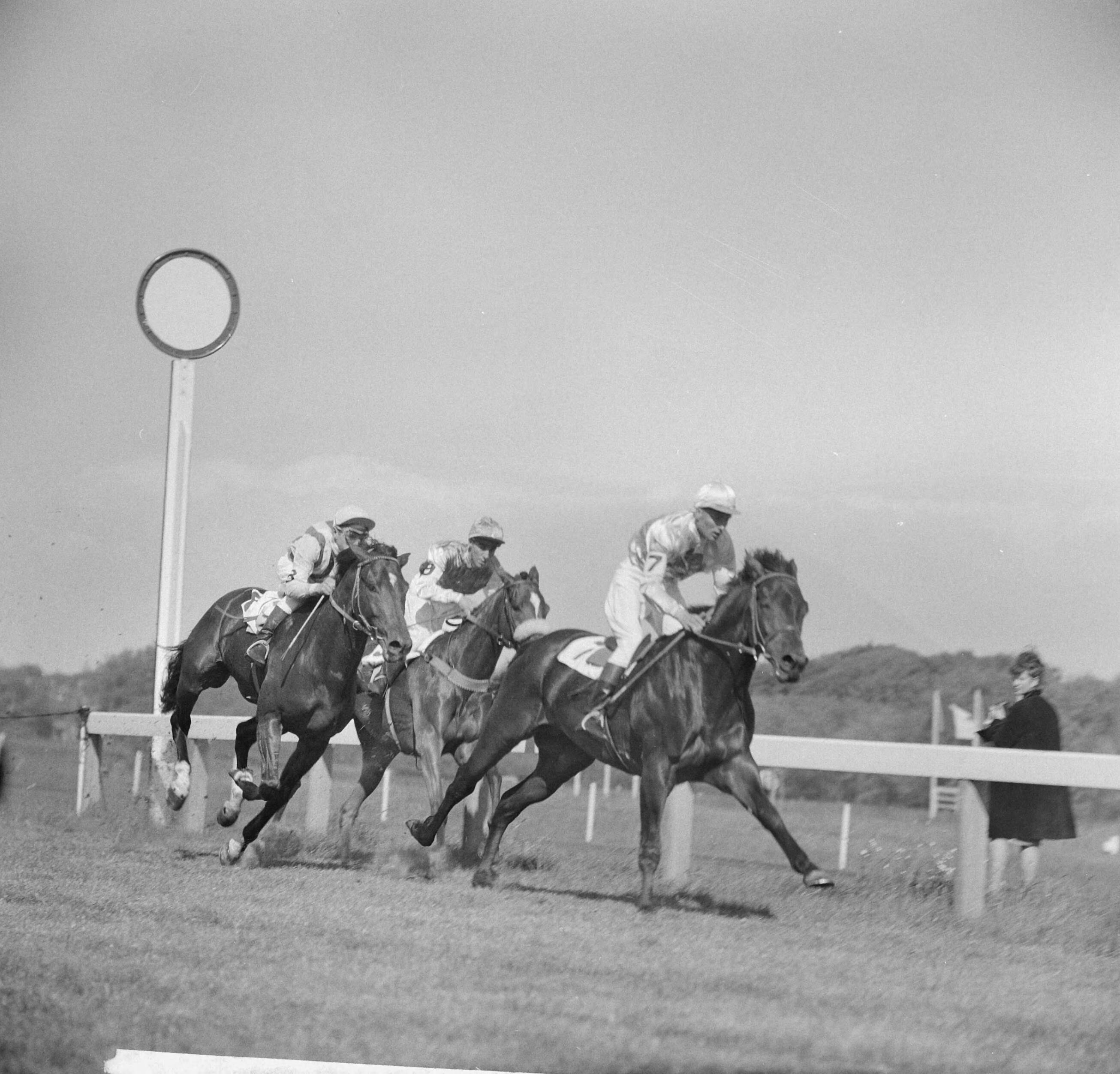 Fotocollectie Anefo — Derby op Duindigt (Flocondor) — Foto: Nijs, Jac. de / Anefo. Licentie: Set B: Rechtenvrij / Publiek Domein. Bron: Nationaal Archief. http://hdl.handle.net/10648/aa0b100a-d0b4-102d-bcf8-003048976d84
