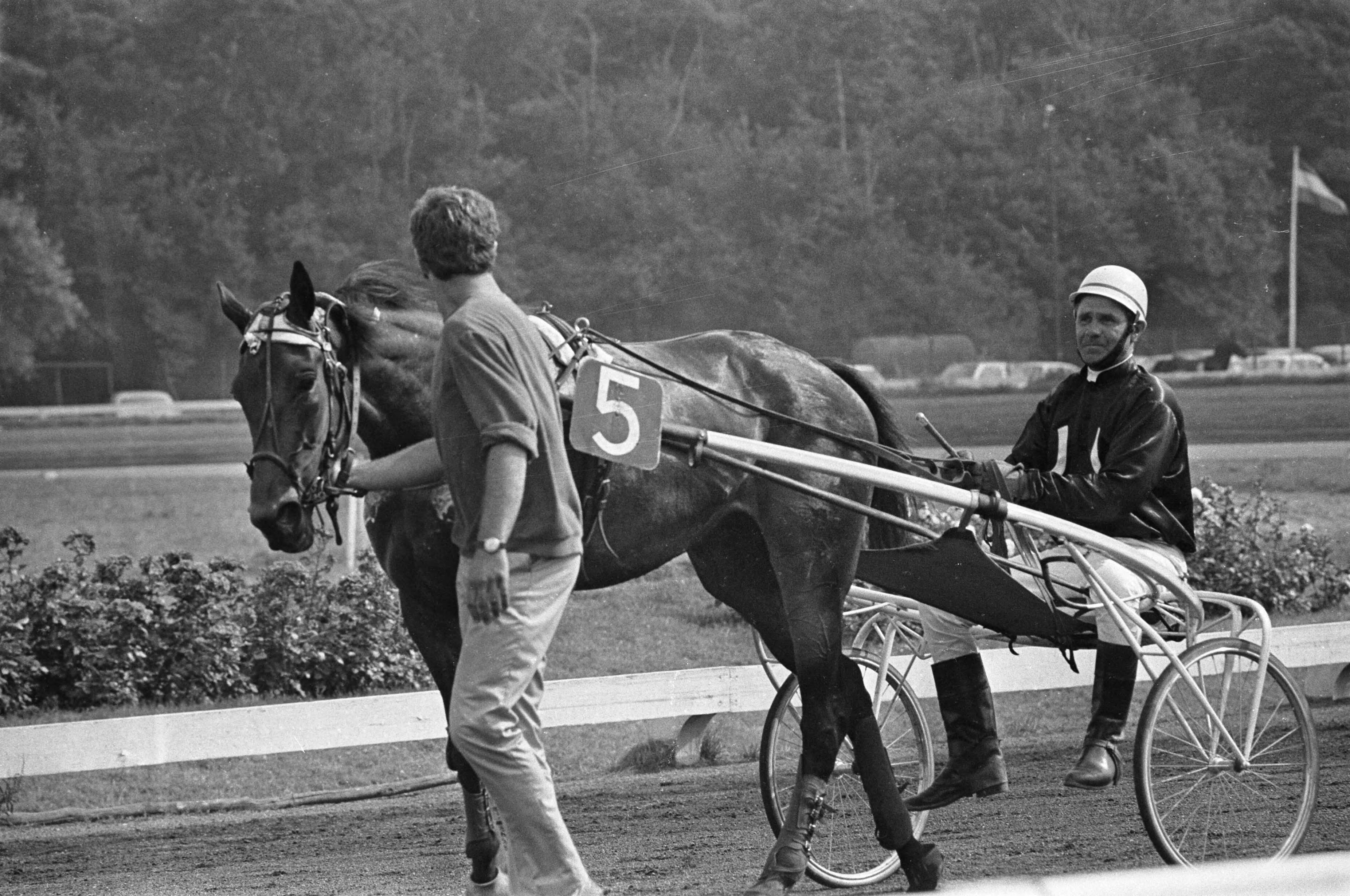 Fotocollectie Anefo — Derby voor dravers op Duindigt; winnaar "Ironie" met berijder M. Vergay — Foto: Mieremet, Rob / Anefo. Licentie: Set B: Rechtenvrij / Publiek Domein. Bron: Nationaal Archief. http://hdl.handle.net/10648/ab9e7204-d0b4-102d-bcf8-003048976d84