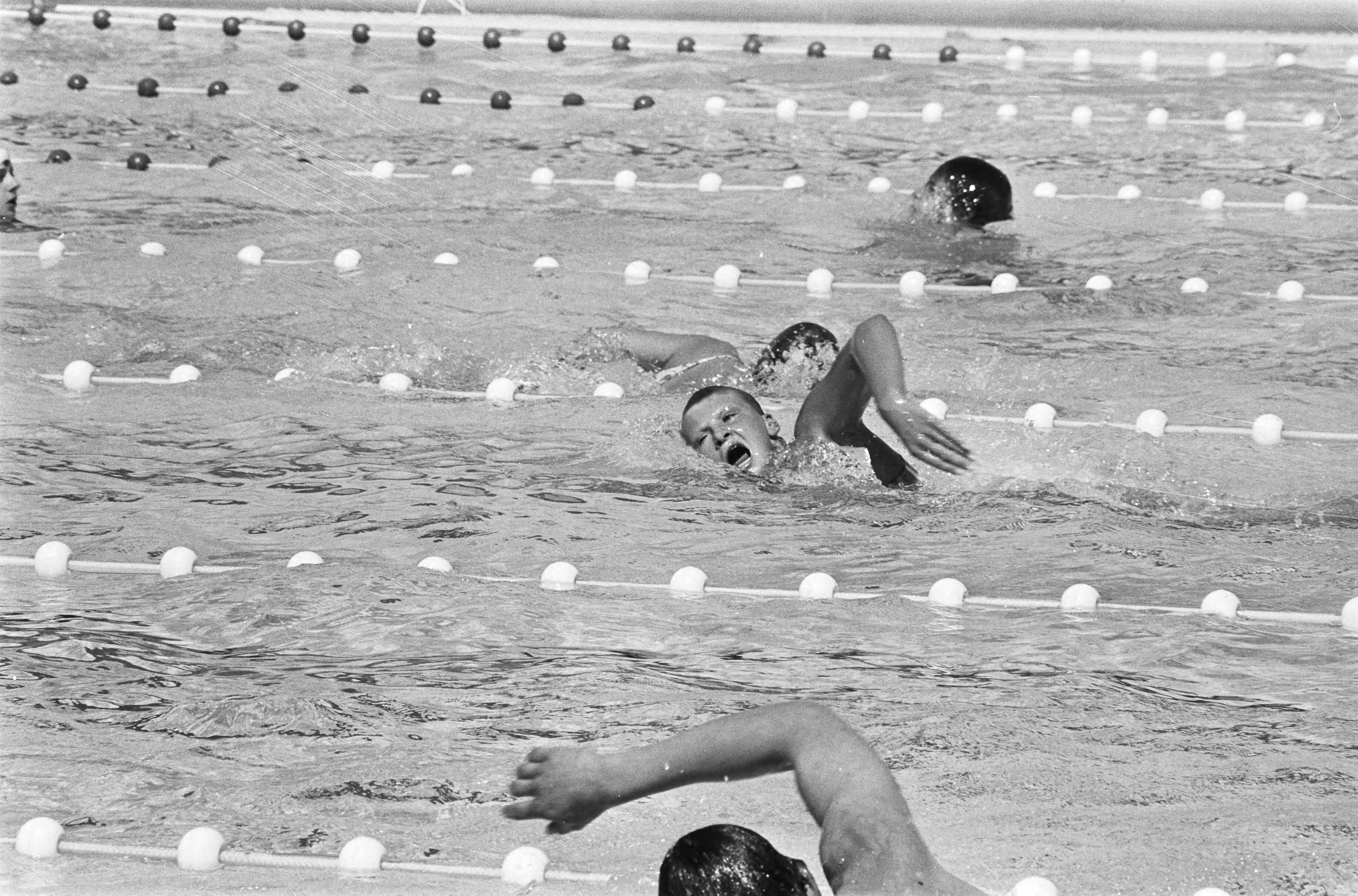 Fotocollectie Anefo — Nationale zwemkampioenschappen te Den Haag zwembad Overbosch, Linda de Boer in actie — Foto: Peters, Hans / Anefo. Licentie: Set B: Rechtenvrij / Publiek Domein. Bron: Nationaal Archief. http://hdl.handle.net/10648/abc7ec92-d0b4-102d-bcf8-003048976d84