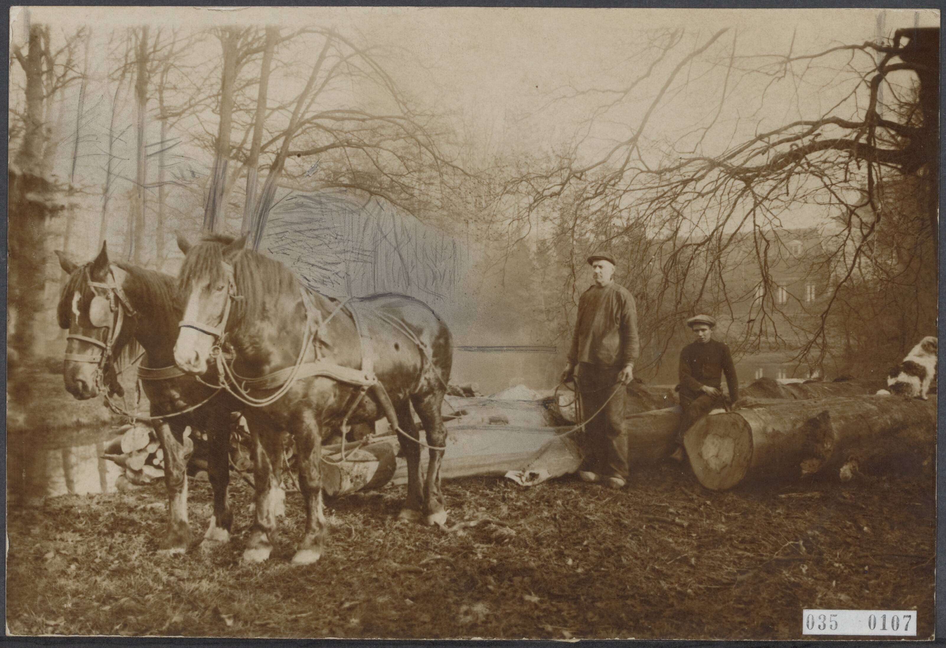 Fotocollectie Elsevier Binnenland — Bijschrift "Alweer een mooi plekje dat verdwijnt. Achter het Slot te Zeist worden de fraaie bomen omgekapt. Een kijkje op het vernielingswerk. Op de achtergrond het slot" — Foto: De Fotocentrale. Licentie: Set B: Rechtenvrij / Publiek Domein. Bron: Nationaal Archief. http://hdl.handle.net/10648/ade9b460-d0b4-102d-bcf8-003048976d84