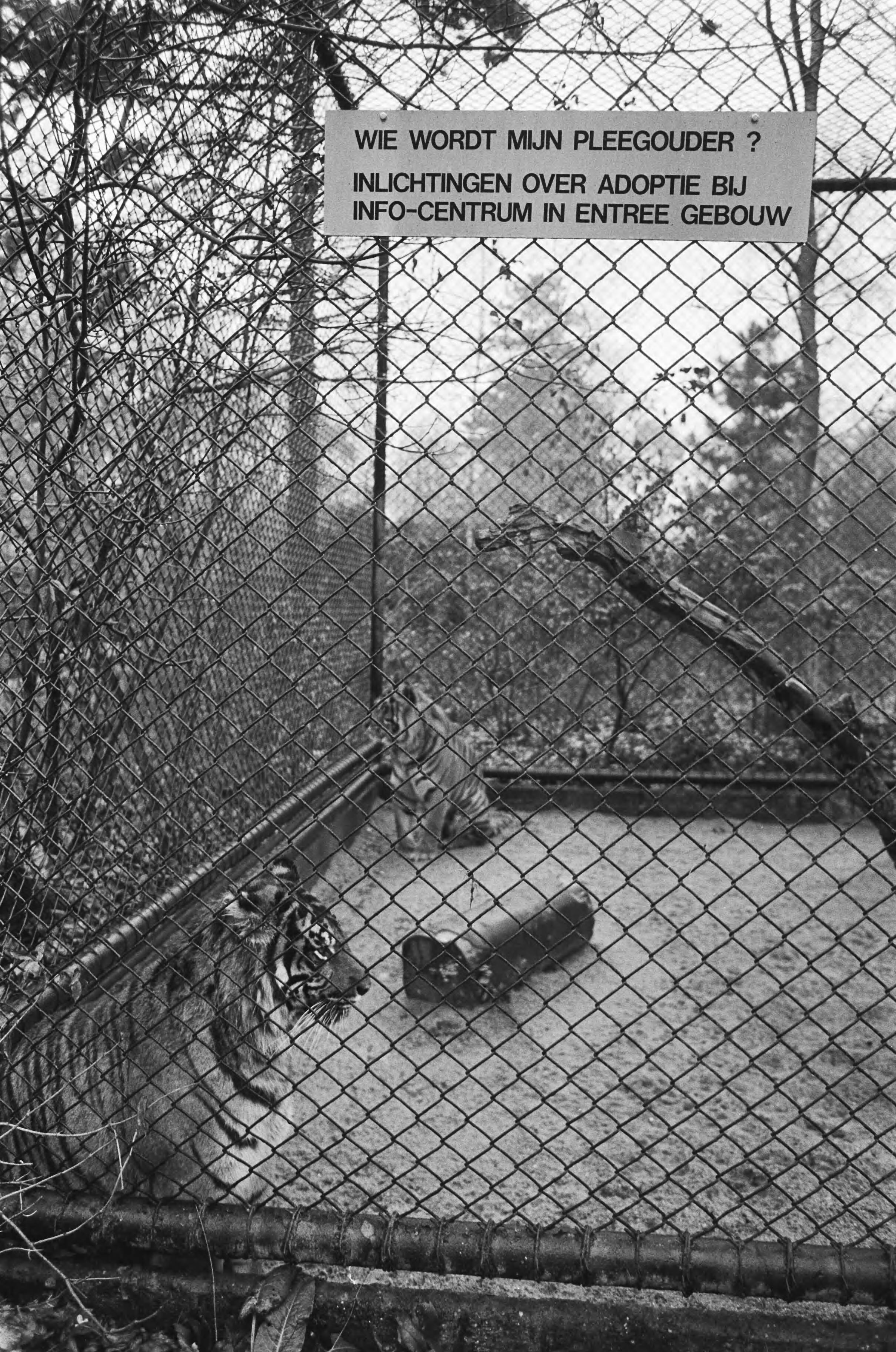 Fotocollectie Anefo — Dierenpark Wassenaar gesloten — Foto: Croes, Rob C. / Anefo. Licentie: Set B: Rechtenvrij / Publiek Domein. Bron: Nationaal Archief. http://hdl.handle.net/10648/ad4d3dd8-d0b4-102d-bcf8-003048976d84