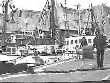 Fotocollectie Rijksvoorlichtingsdienst Eigen — dias vlaggetjesdag scheveningen — Foto: Schuurman, Ralph L. / RVD. Licentie: Set B: Rechtenvrij / Publiek Domein. Bron: Nationaal Archief. http://hdl.handle.net/10648/af733572-d0b4-102d-bcf8-003048976d84