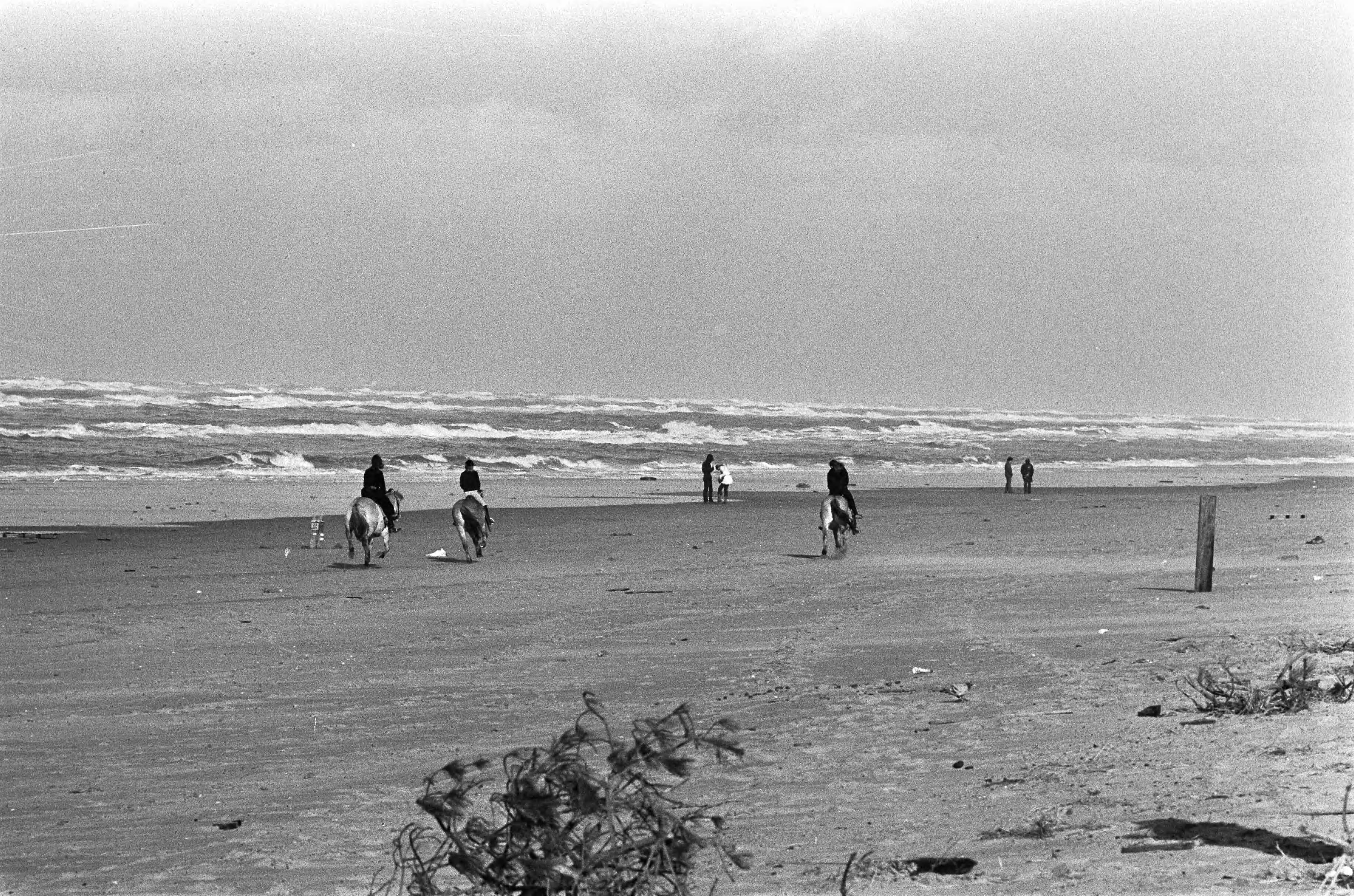 Beelden van de autoloze zondag — Wandelaars op het strand — Foto: Fotograaf Onbekend / Anefo. Licentie: Set B: Rechtenvrij / Publiek Domein. Bron: Nationaal Archief. http://hdl.handle.net/10648/ac3d5ba8-d0b4-102d-bcf8-003048976d84