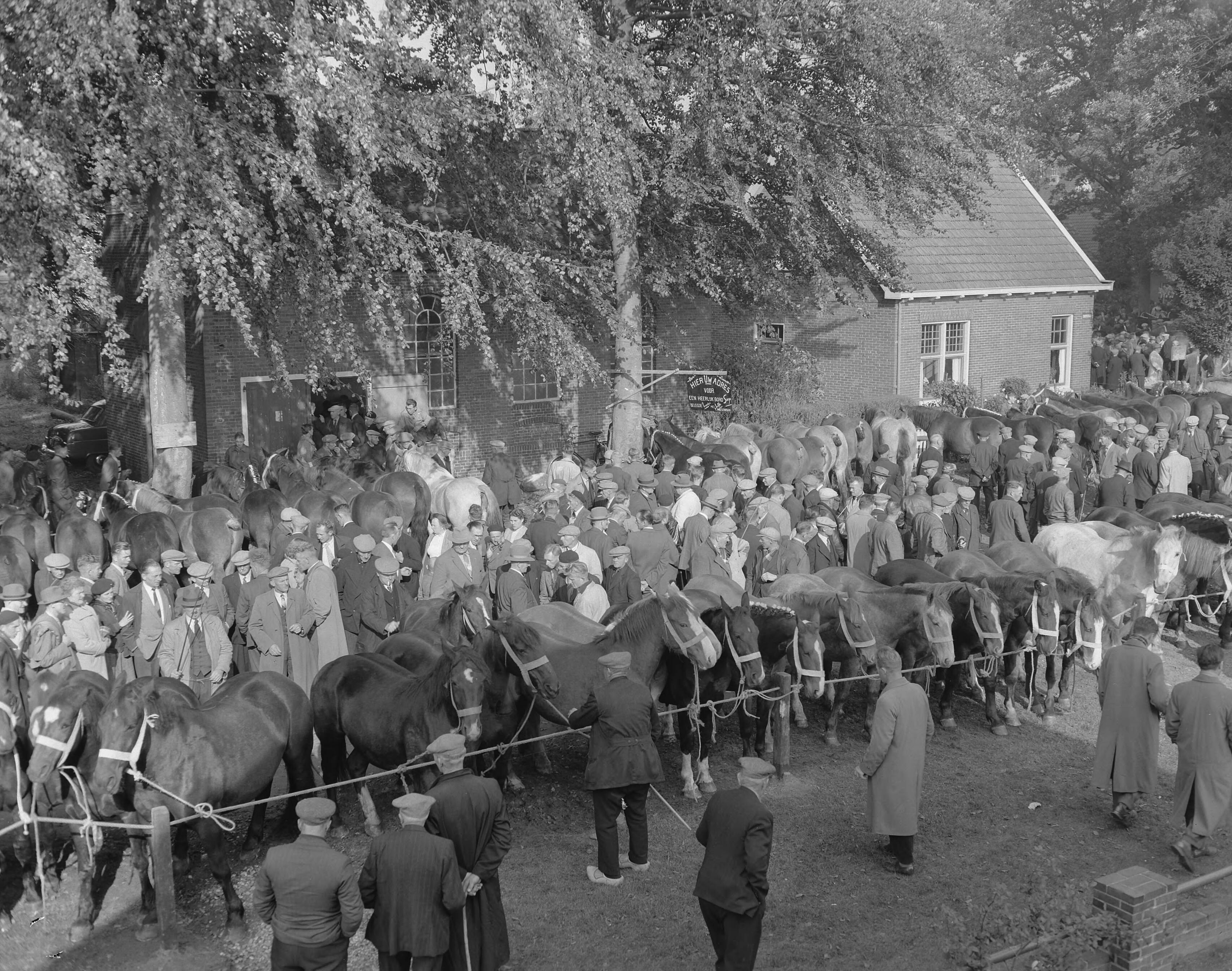 Fotocollectie Anefo — Zuidlaarder paardenmarkt — Foto: Rossem, Wim van / Anefo. Licentie: Set B: Rechtenvrij / Publiek Domein. Bron: Nationaal Archief. http://hdl.handle.net/10648/a950f8be-d0b4-102d-bcf8-003048976d84