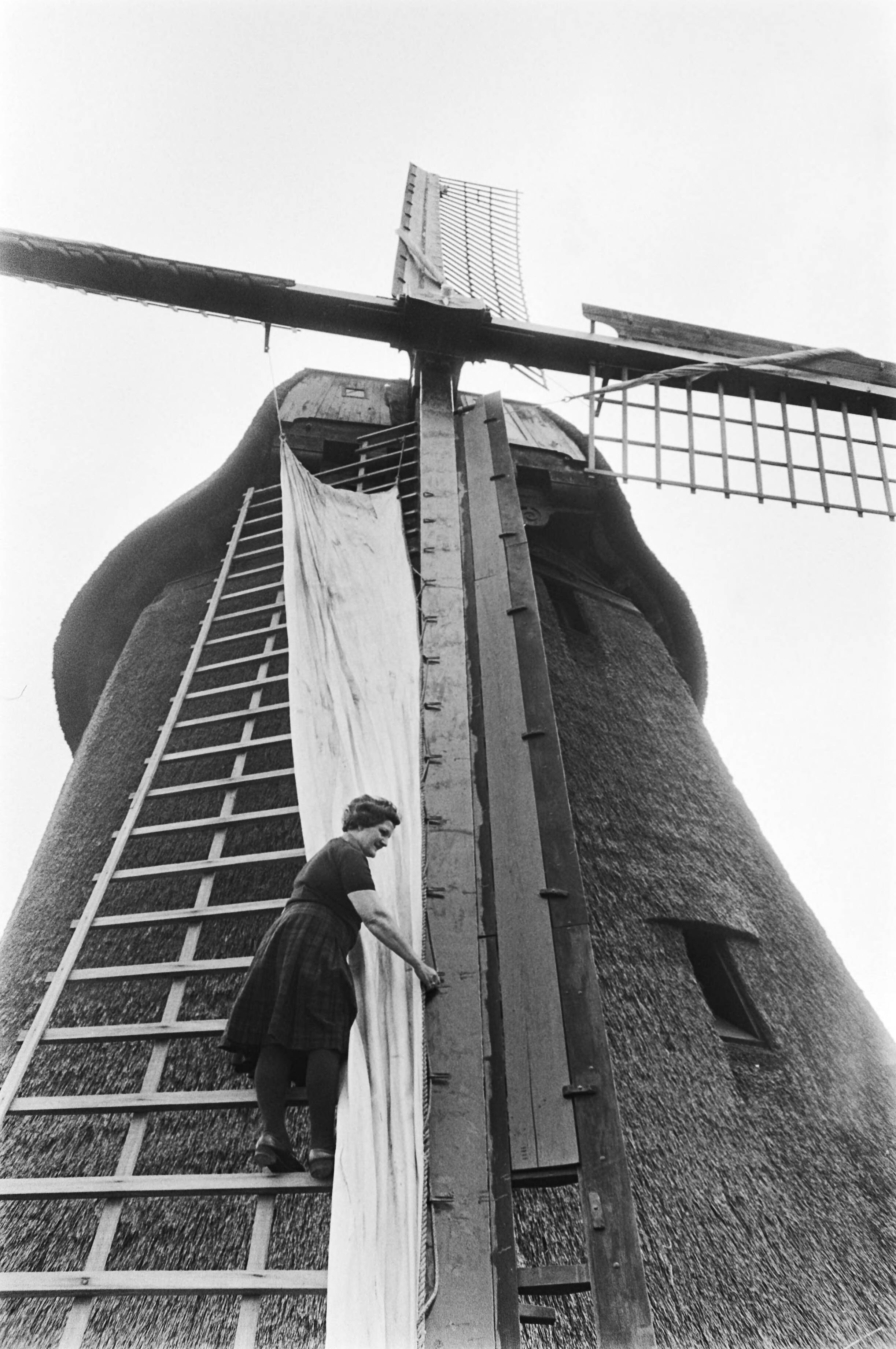 Fotocollectie Anefo — Vrouw in molen te Schermerhorn (Noord-Holland). Vrouw tijdens het voorleggen van een molenzeil van een 8-kante rietgedekte binnenkruier — Foto: Verhoeff, Bert / Anefo. Licentie: Set B: Rechtenvrij / Publiek Domein. Bron: Nationaal Archief. http://hdl.handle.net/10648/ac81f3b2-d0b4-102d-bcf8-003048976d84