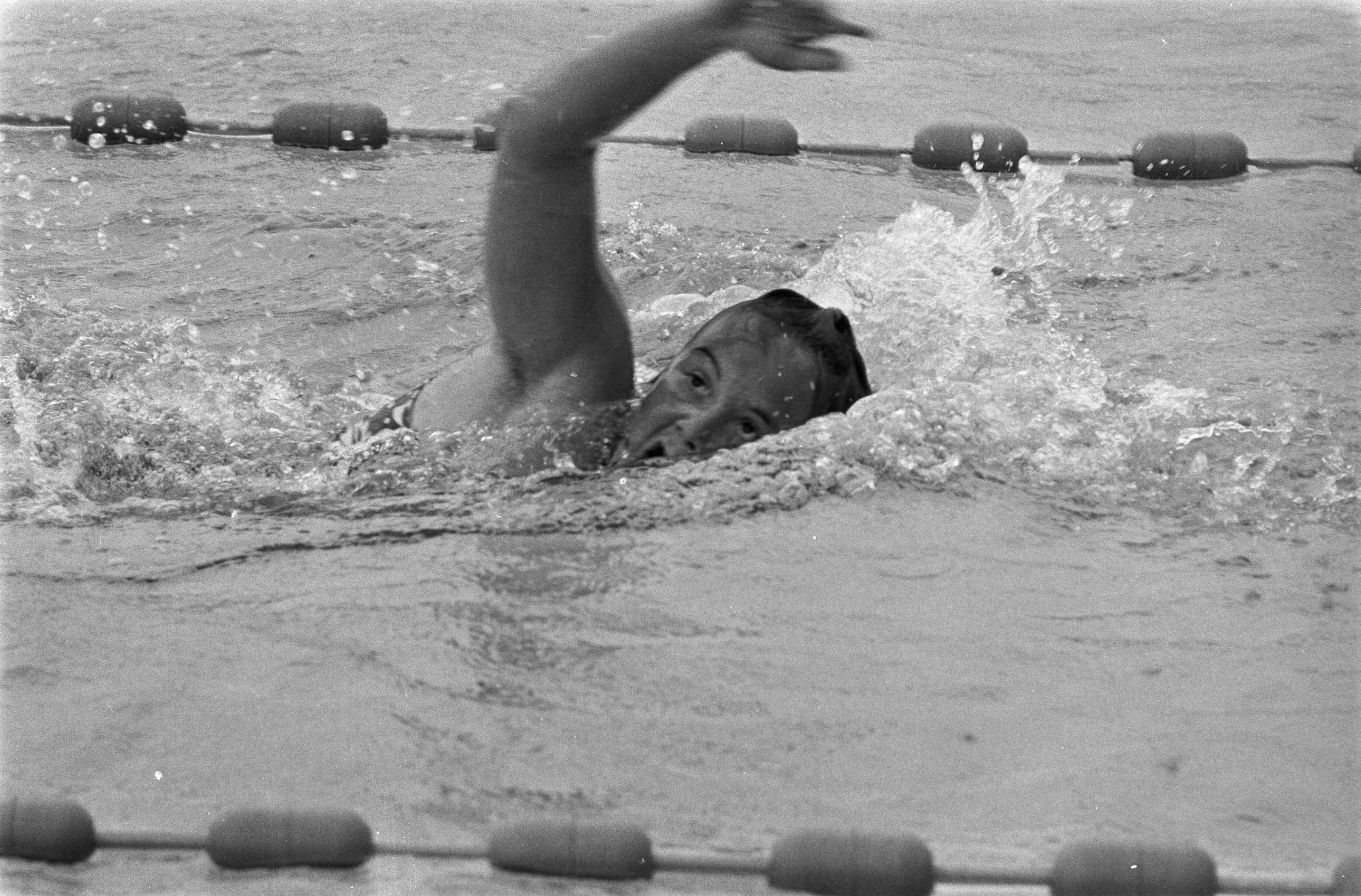Fotocollectie Anefo — Nationale zwemkampioenschappen zwemmen, Leeuwarden; Henny Penterman in aktie — Foto: Verhoeff, Bert / Anefo. Licentie: Set B: Rechtenvrij / Publiek Domein. Bron: Nationaal Archief. http://hdl.handle.net/10648/ab9d525c-d0b4-102d-bcf8-003048976d84