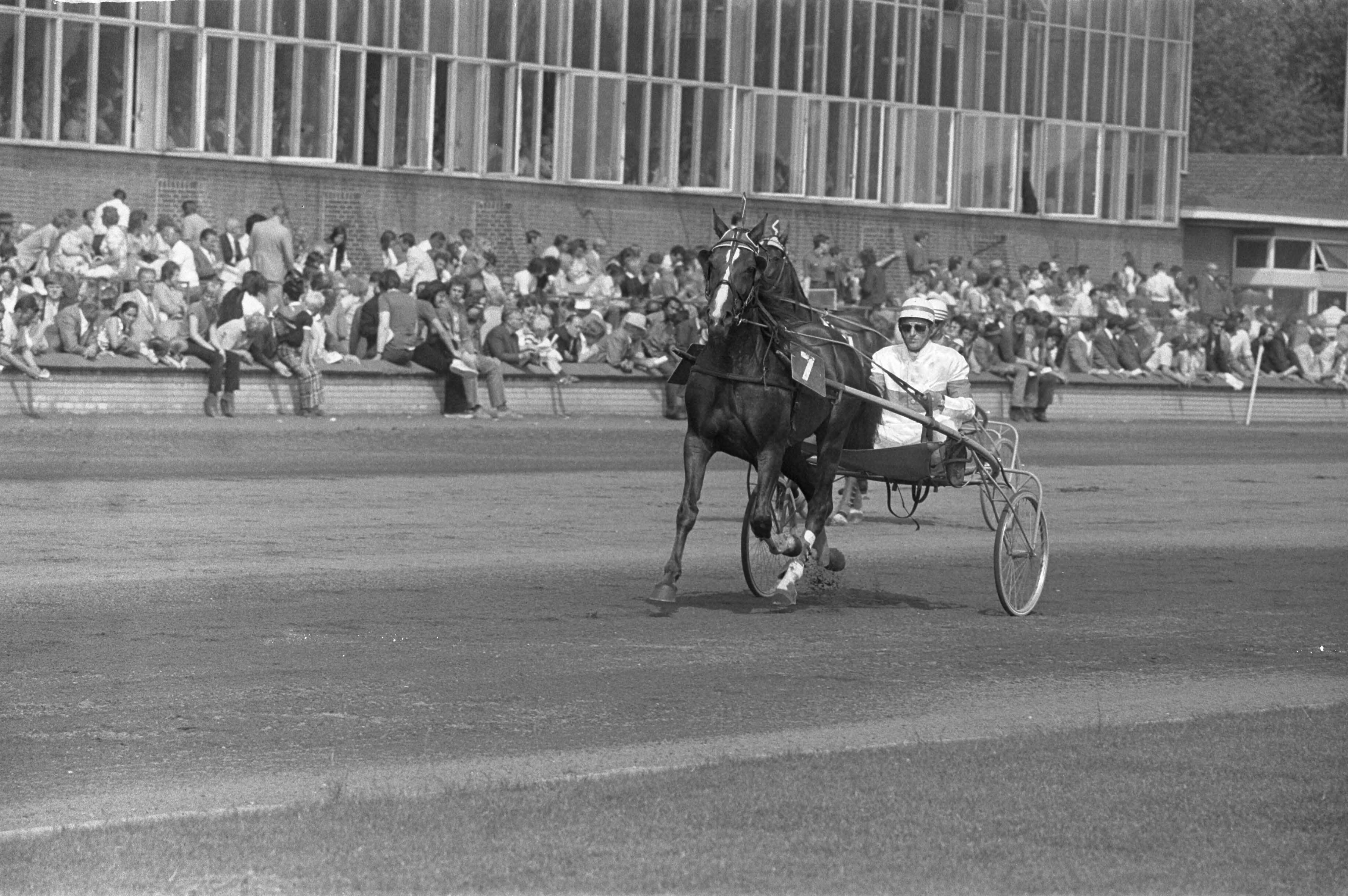 Fotocollectie Anefo — Kampioenschap Nederlandse paarden te Hilversum — Foto: Peters, Hans / Anefo. Licentie: Set B: Rechtenvrij / Publiek Domein. Bron: Nationaal Archief. http://hdl.handle.net/10648/abefa67e-d0b4-102d-bcf8-003048976d84
