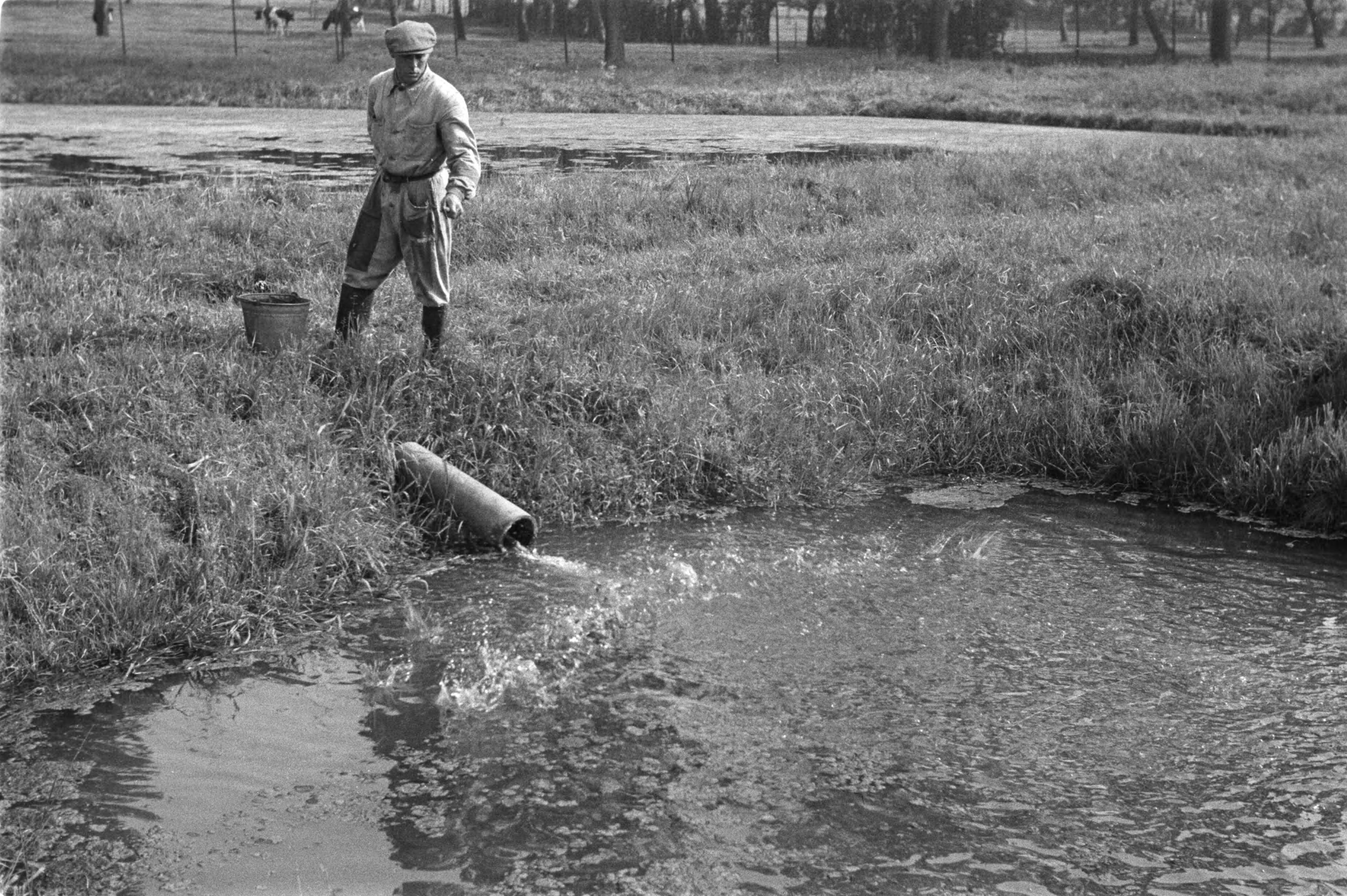 Fotocollectie Nederlandse Heidemaatschappij — Gulpen|visserij |viskwekerijen |voederingen |forellen |mannen — Foto: Fotograaf Onbekend / Heidemij. Licentie: Set B: Rechtenvrij / Publiek Domein. Bron: Nationaal Archief. http://hdl.handle.net/10648/ae89e6d8-d0b4-102d-bcf8-003048976d84