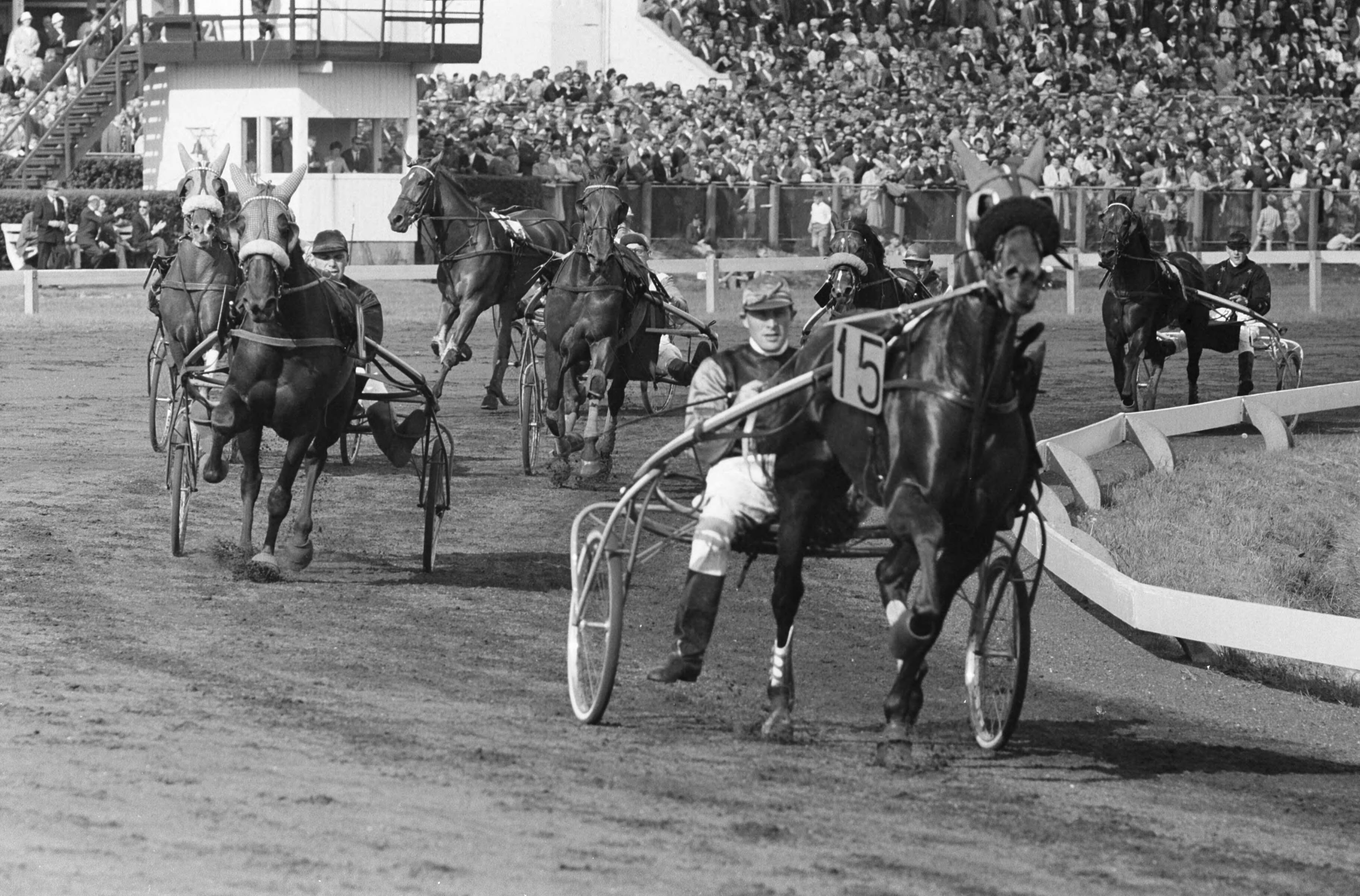 Fotocollectie Anefo — 25e draversontmoeting Nederland tegen België op Duindigt — Foto: Pot, Harry / Anefo. Licentie: Set B: Rechtenvrij / Publiek Domein. Bron: Nationaal Archief. http://hdl.handle.net/10648/a9e48c0a-d0b4-102d-bcf8-003048976d84