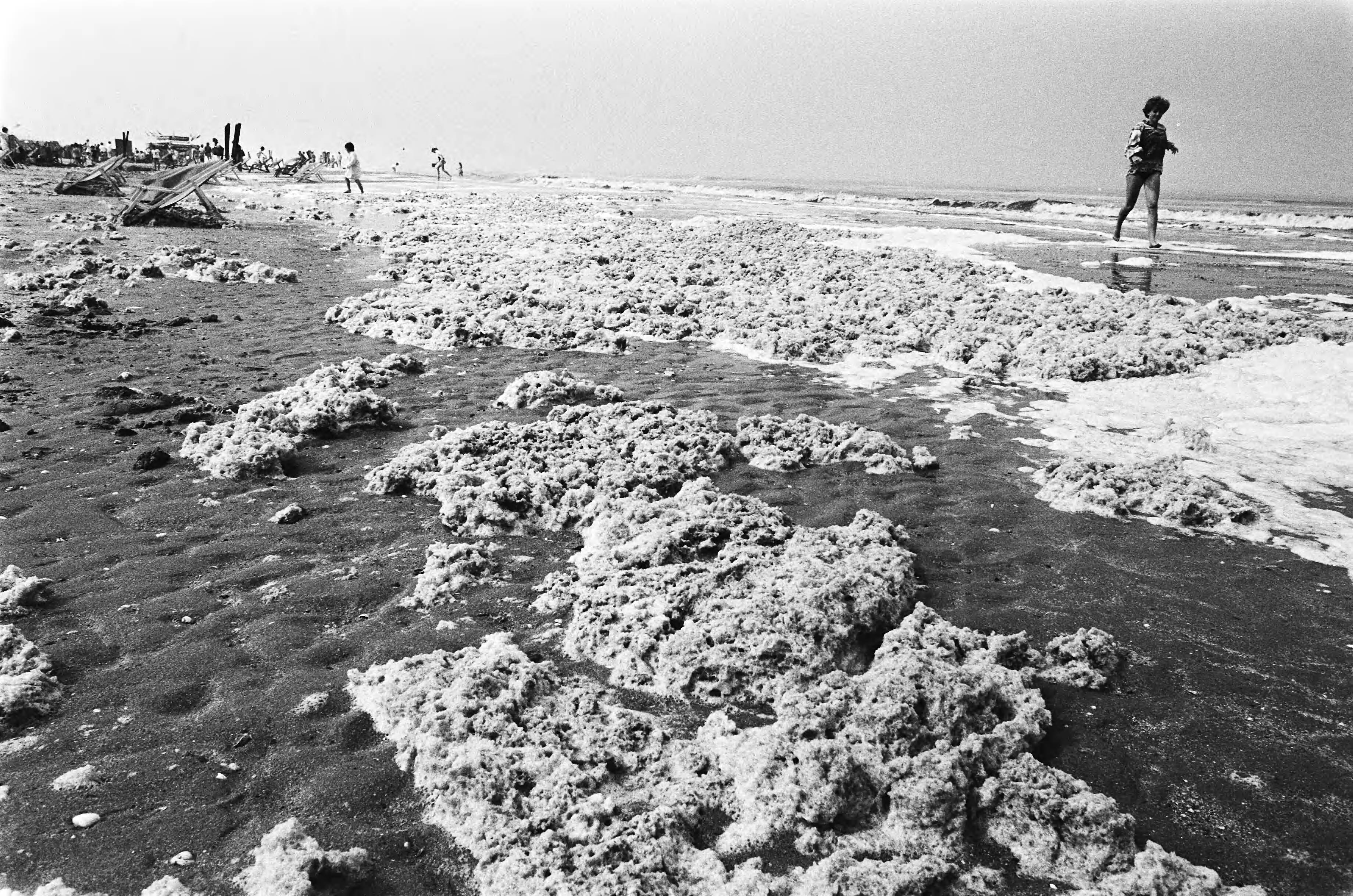 Fotocollectie Anefo — Bewolking en strook stinkend schuim (foto) op strand bij Zandvoort houdt strand stil — Foto: Bogaerts, Rob / Anefo. Licentie: Set B: Rechtenvrij / Publiek Domein. Bron: Nationaal Archief. http://hdl.handle.net/10648/ad179c1e-d0b4-102d-bcf8-003048976d84