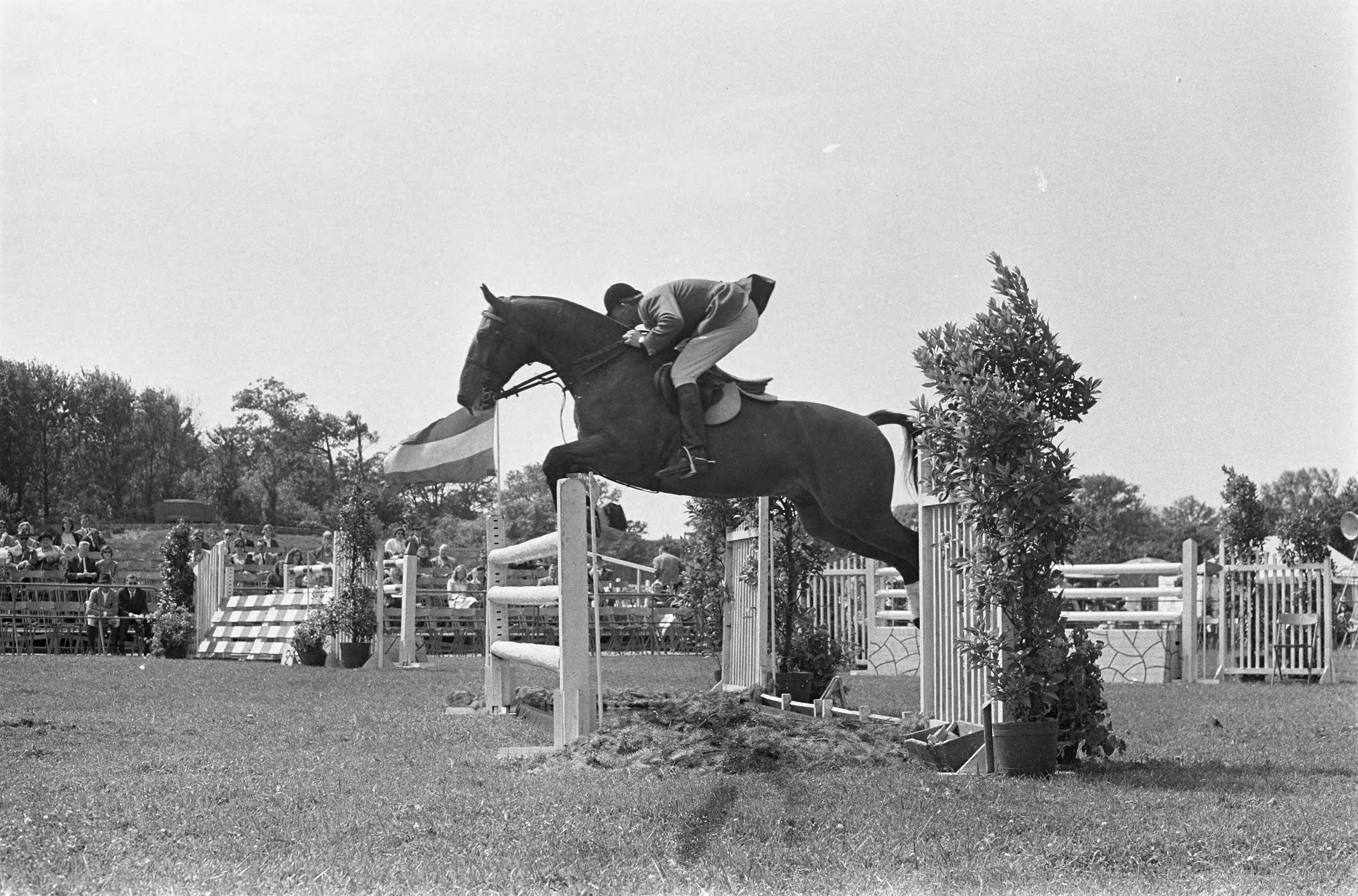 Fotocollectie Anefo — Concours Hippique te Den Haag. Mady Koster met Axel tijdens de barrage — Foto: Gelderen, Hugo van / Anefo. Licentie: Set B: Rechtenvrij / Publiek Domein. Bron: Nationaal Archief. http://hdl.handle.net/10648/aa3f3042-d0b4-102d-bcf8-003048976d84