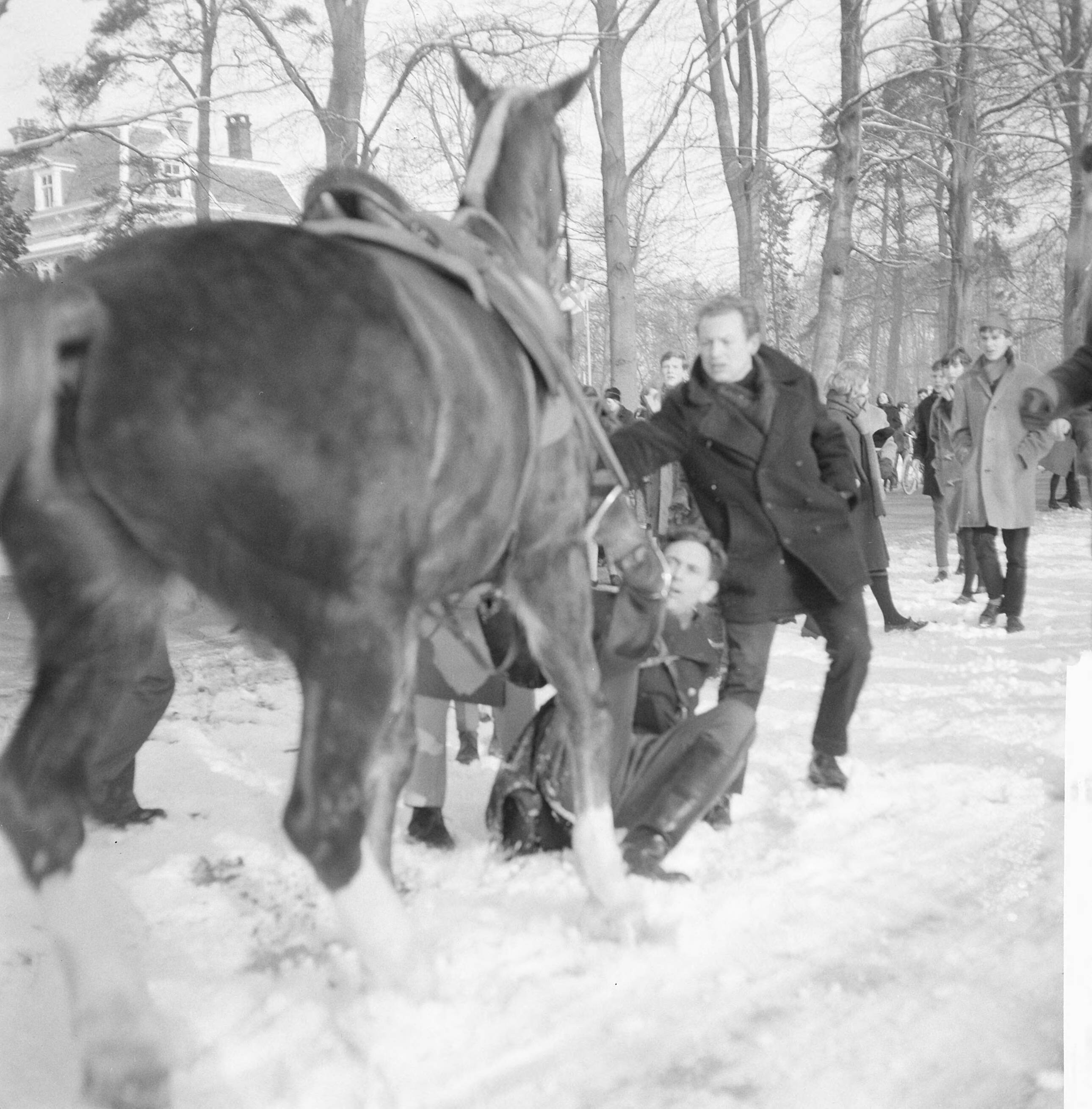 Ondertrouw prinses Beatrix en Claus von Amsberg — Ondertrouw prinses Beatrix en Claus in Baarn, tijdens rijtoer na de plechtigheid in Baarn werd agent van paard geworpen — Foto: Combinatie 6 / Anefo. Licentie: Set B: Rechtenvrij / Publiek Domein. Bron: Nationaal Archief. http://hdl.handle.net/10648/aadb22ea-d0b4-102d-bcf8-003048976d84