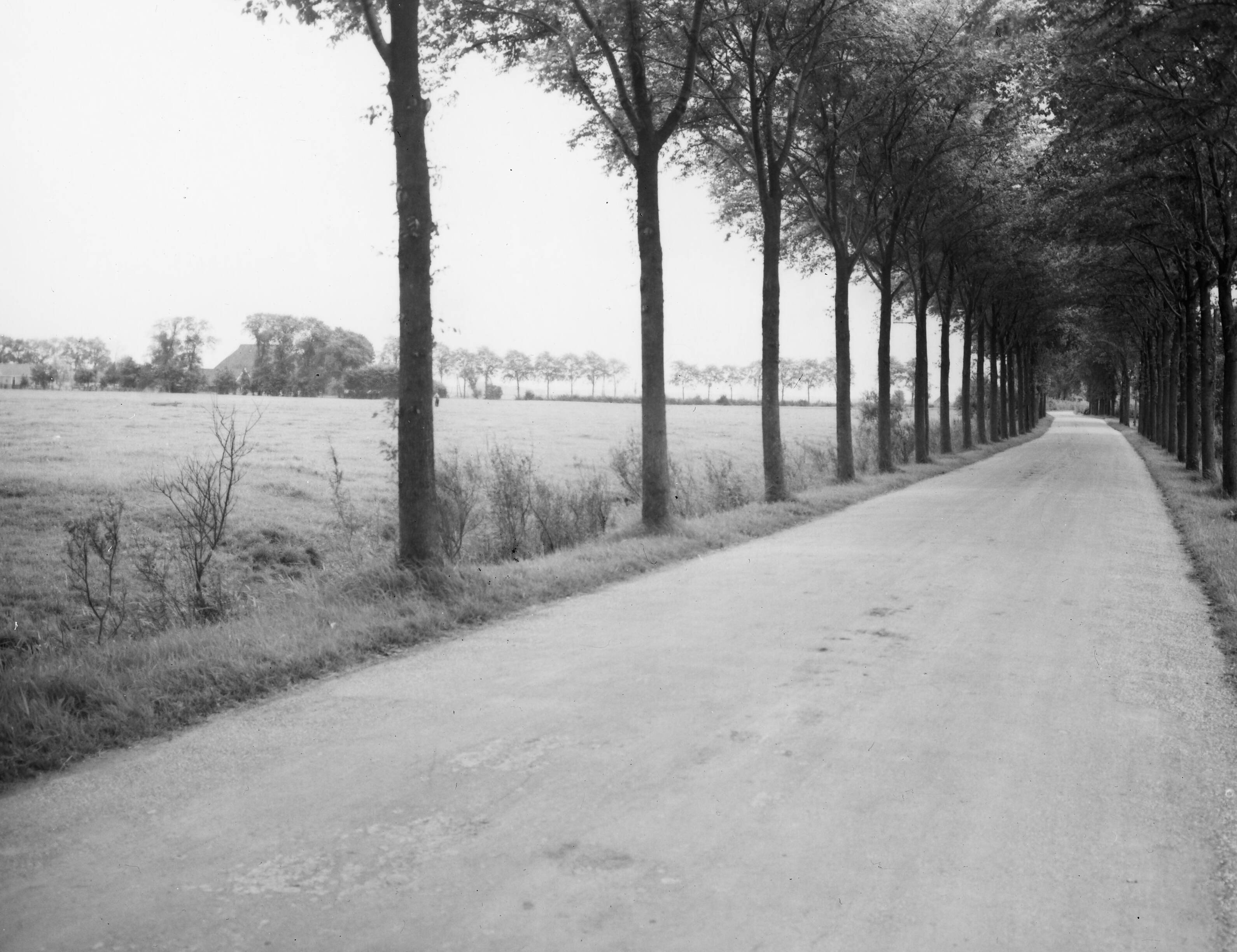 Fotocollectie Nederlandse Heidemaatschappij — Weidum|moderne landbouwgebouwen |woningen — Foto: Fotograaf Onbekend / Heidemij. Licentie: Set B: Rechtenvrij / Publiek Domein. Bron: Nationaal Archief. http://hdl.handle.net/10648/ae4b1174-d0b4-102d-bcf8-003048976d84