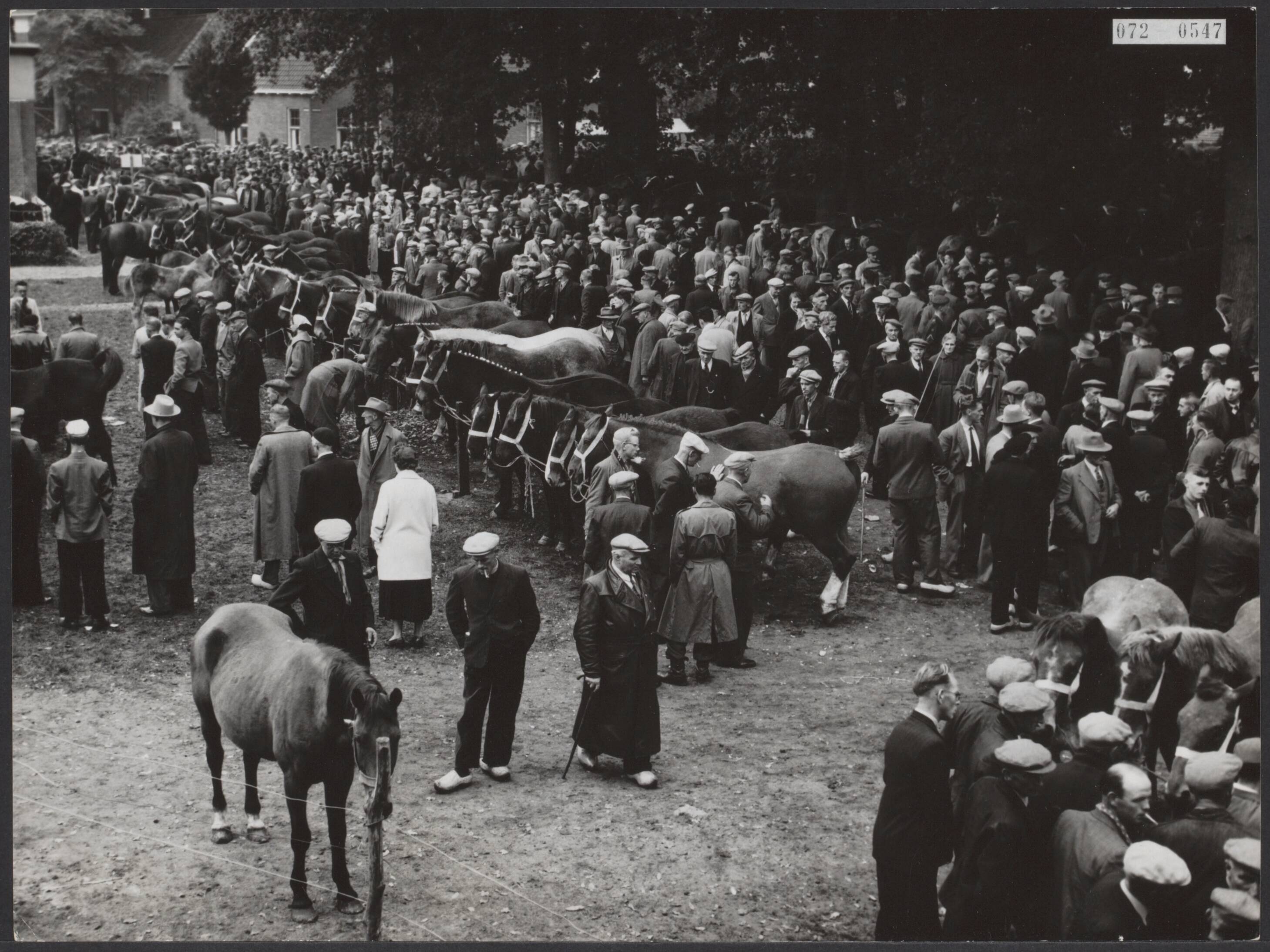 Fotocollectie Elsevier Binnenland — Grootste paardenmarkt van Nederland te Zuid-Laren — Foto: Fotograaf Onbekend / Anefo. Licentie: Set B: Rechtenvrij / Publiek Domein. Bron: Nationaal Archief. http://hdl.handle.net/10648/ae10b646-d0b4-102d-bcf8-003048976d84