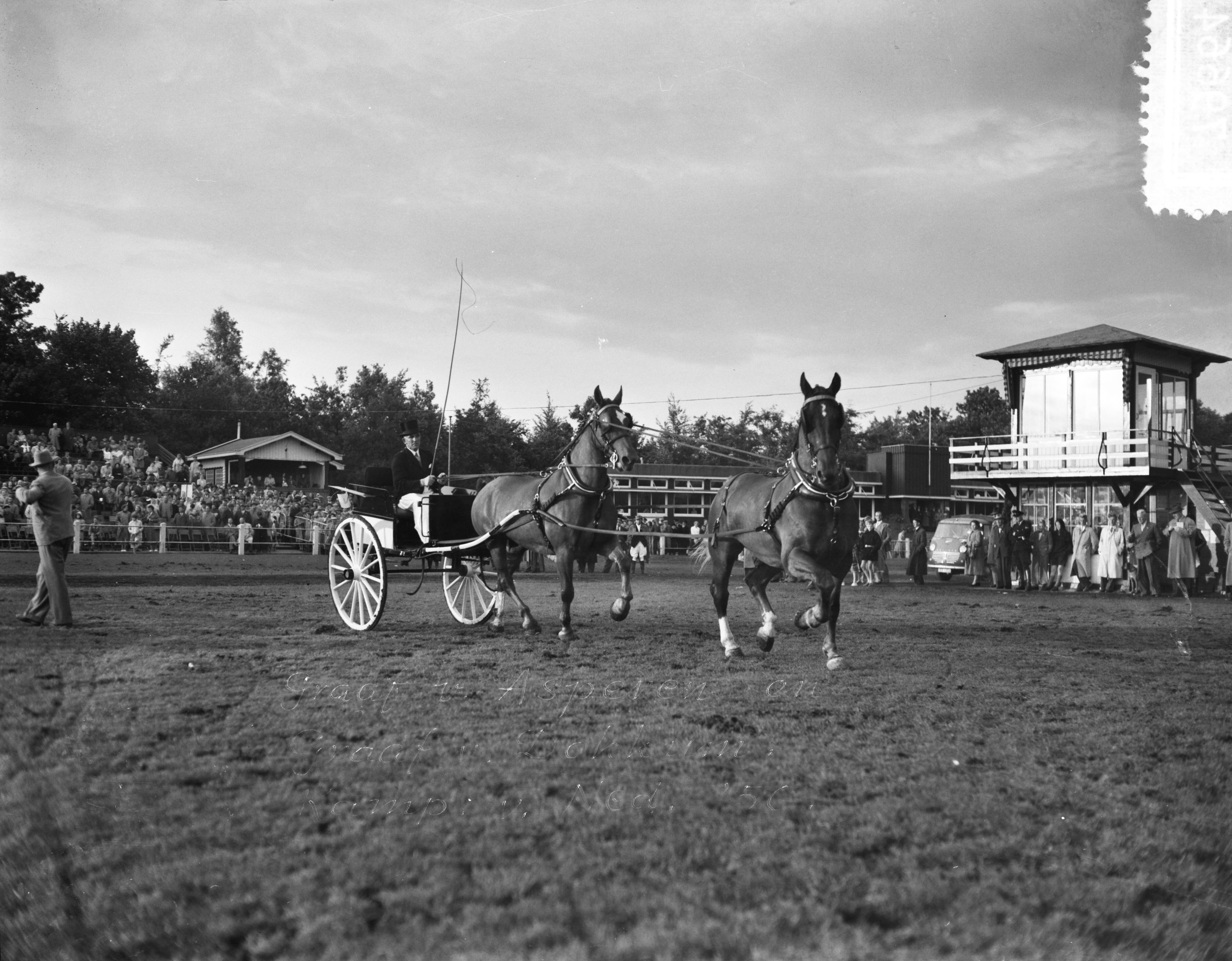 Fotocollectie Anefo — Concours tweespannen tuigpaarden te Groningen. S. Offringa, kampioen Nederland — Foto: Rossem, Wim van / Anefo. Licentie: Set B: Rechtenvrij / Publiek Domein. Bron: Nationaal Archief. http://hdl.handle.net/10648/a94de4bc-d0b4-102d-bcf8-003048976d84