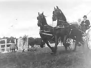 Fotocollectie Anefo — Concours hippique te Leeuwarden — Foto: Noske, J.D. / Anefo. Licentie: Set B: Rechtenvrij / Publiek Domein. Bron: Nationaal Archief. http://hdl.handle.net/10648/a96673ba-d0b4-102d-bcf8-003048976d84