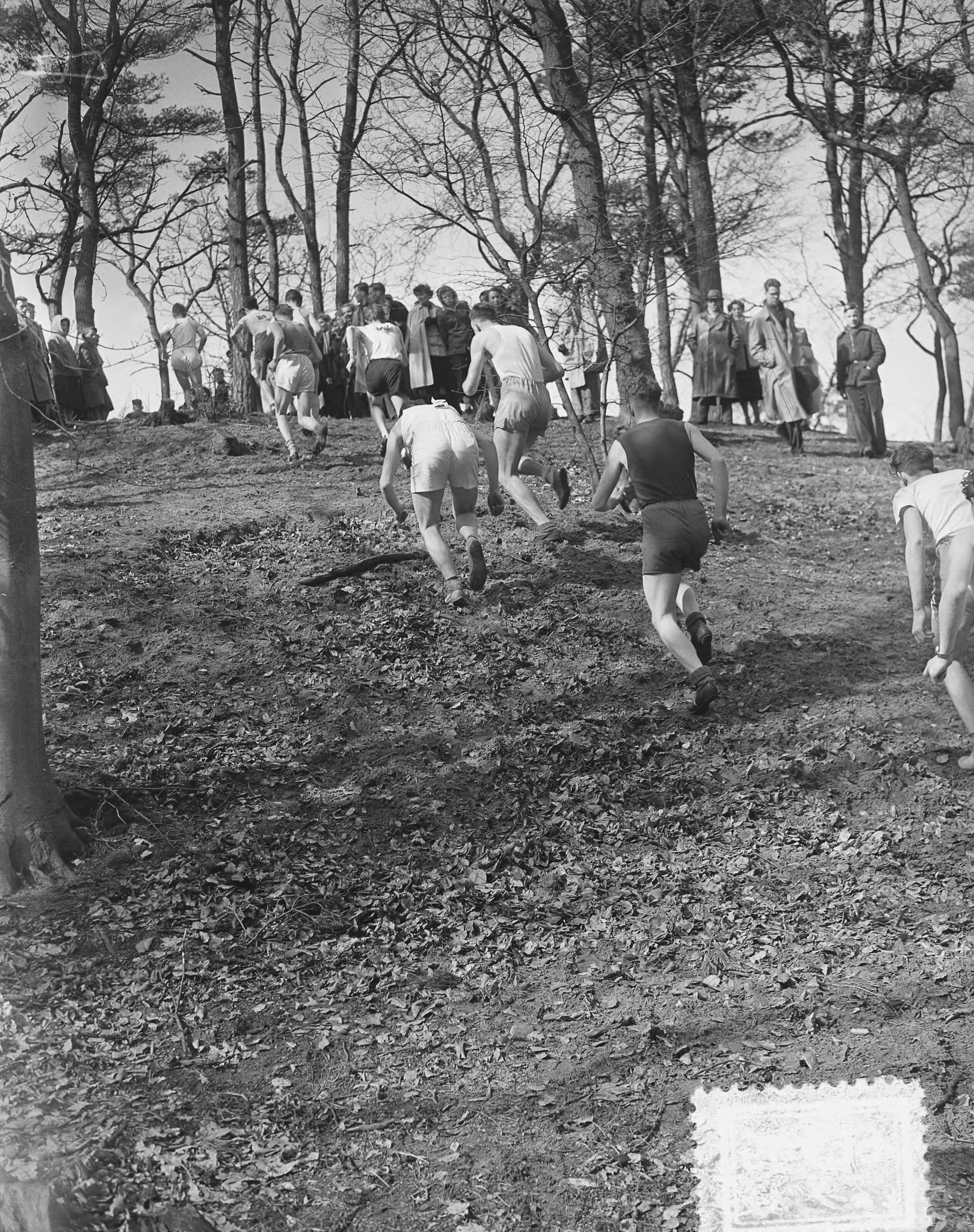 Fotocollectie Anefo — Veldloopkampioenschappen van Nederland in Wassenaar. A. Junioren, heuvel klim — Foto: Bilsen, Joop van / Anefo. Licentie: Set B: Rechtenvrij / Publiek Domein. Bron: Nationaal Archief. http://hdl.handle.net/10648/a909c80e-d0b4-102d-bcf8-003048976d84