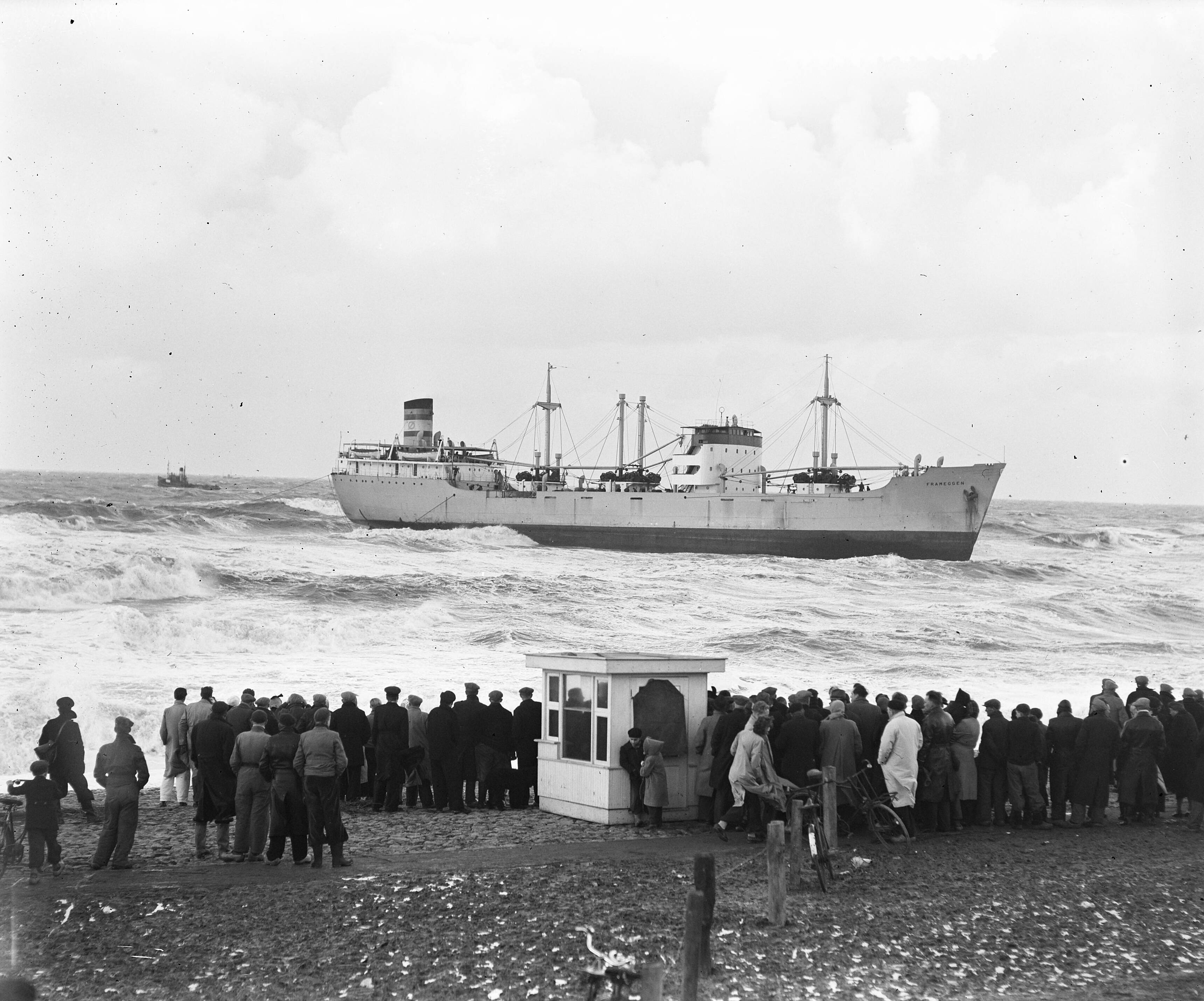 Gestrande Noorse vrachtschip ss. "Franeggen" — Gestrande Noorse vrachtschip ss. "Franeggen" los voor de Hondsbossche Zeewering — Foto: Duinen, H. van / Anefo. Licentie: Set B: Rechtenvrij / Publiek Domein. Bron: Nationaal Archief. http://hdl.handle.net/10648/a8f3f5ec-d0b4-102d-bcf8-003048976d84