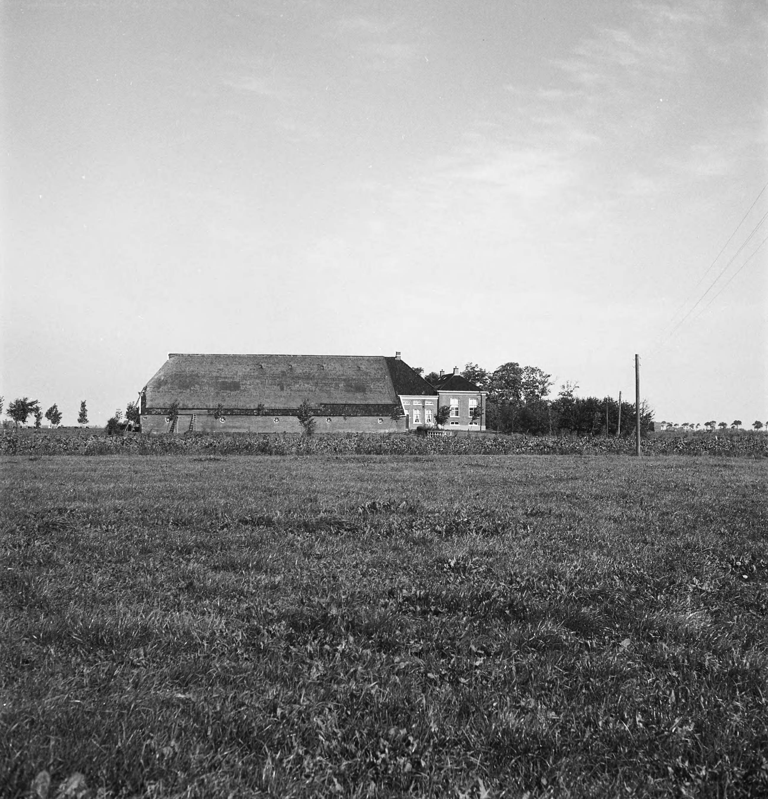 Fotocollectie Nederlandse Heidemaatschappij — Boerderij aan de weg Noordwolde - Bedum — Foto: Tromp, [...] / Heidemij. Licentie: Set B: Rechtenvrij / Publiek Domein. Bron: Nationaal Archief. http://hdl.handle.net/10648/ae7d22fe-d0b4-102d-bcf8-003048976d84