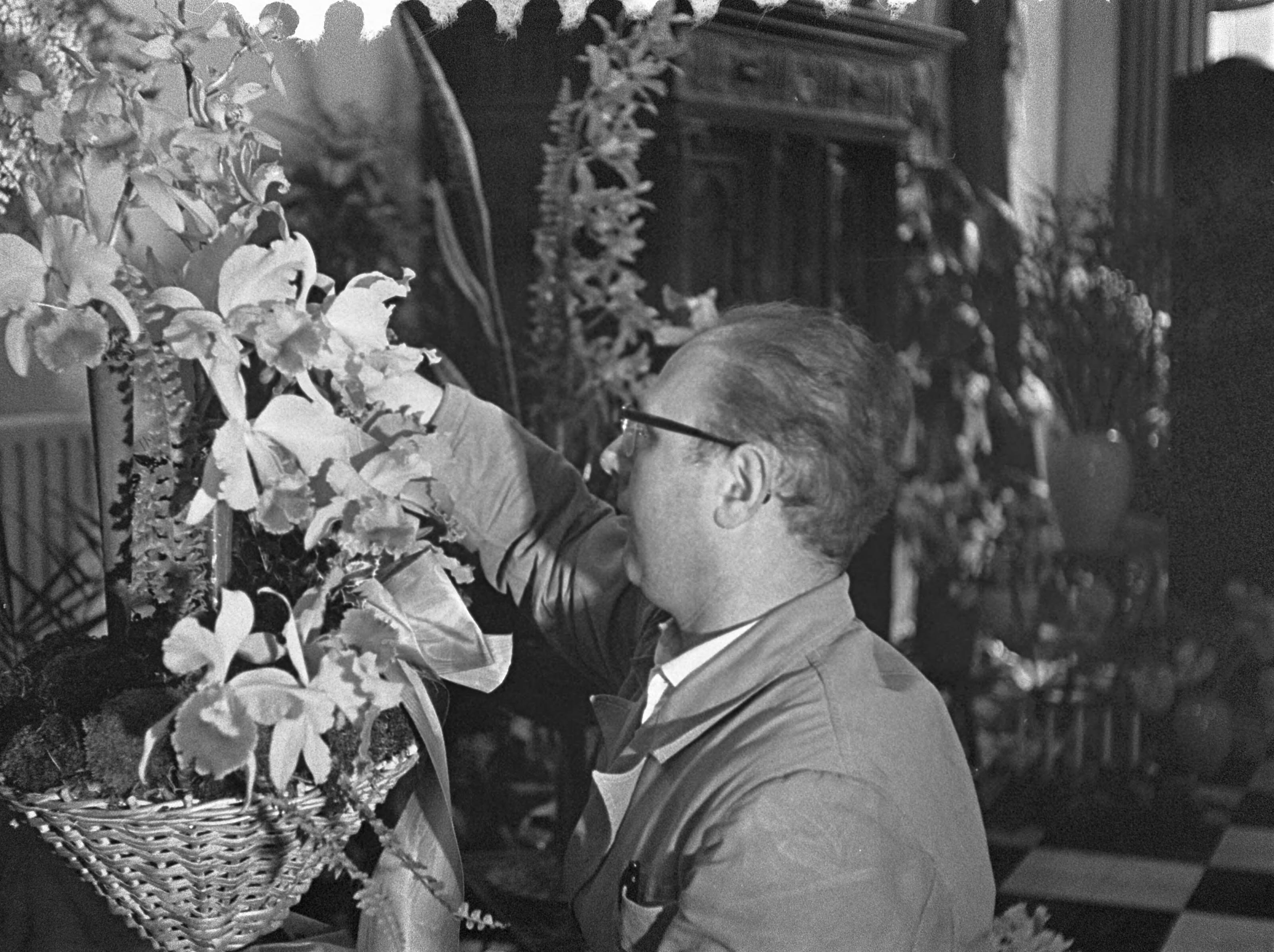 Fotocollectie Anefo — Flowershop te Haarlem levert elf bloemstukken voor het huwelijk van de Sjah van Perzië, de heer Schrama bezig met het schikken van orchideëen — Foto: Pot, Harry / Anefo. Licentie: Set B: Rechtenvrij / Publiek Domein. Bron: Nationaal Archief. http://hdl.handle.net/10648/a9a3e88a-d0b4-102d-bcf8-003048976d84
