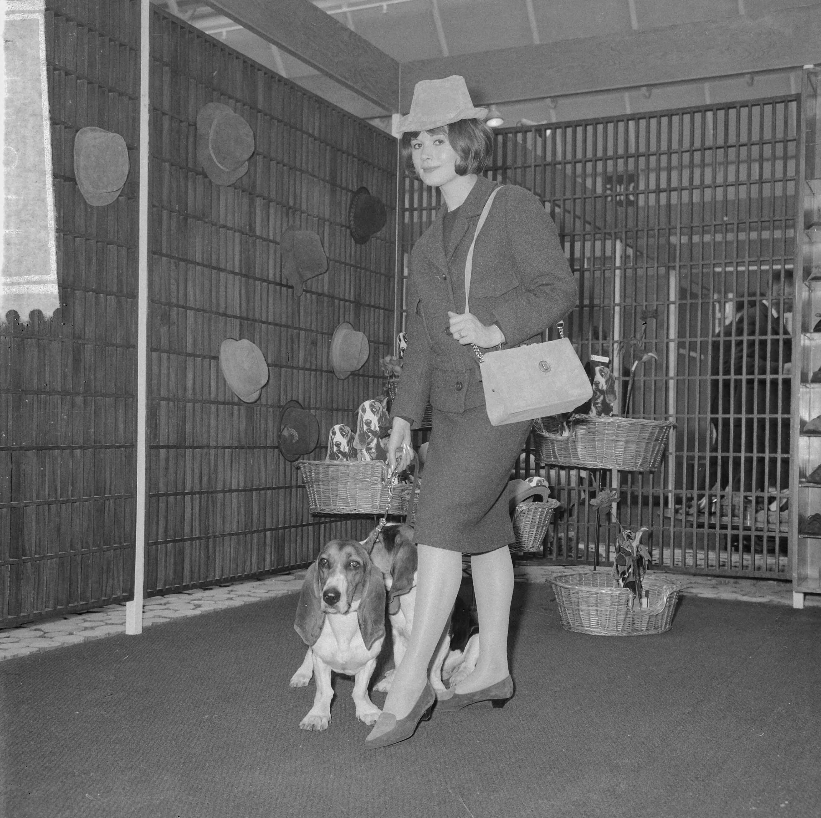 Fotocollectie Anefo — Internationale schoenenbeurs te Utrecht, model met hush-puppy (hond) — Foto: Nijs, Jac. de / Anefo. Licentie: Set B: Rechtenvrij / Publiek Domein. Bron: Nationaal Archief. http://hdl.handle.net/10648/aa9d7e54-d0b4-102d-bcf8-003048976d84