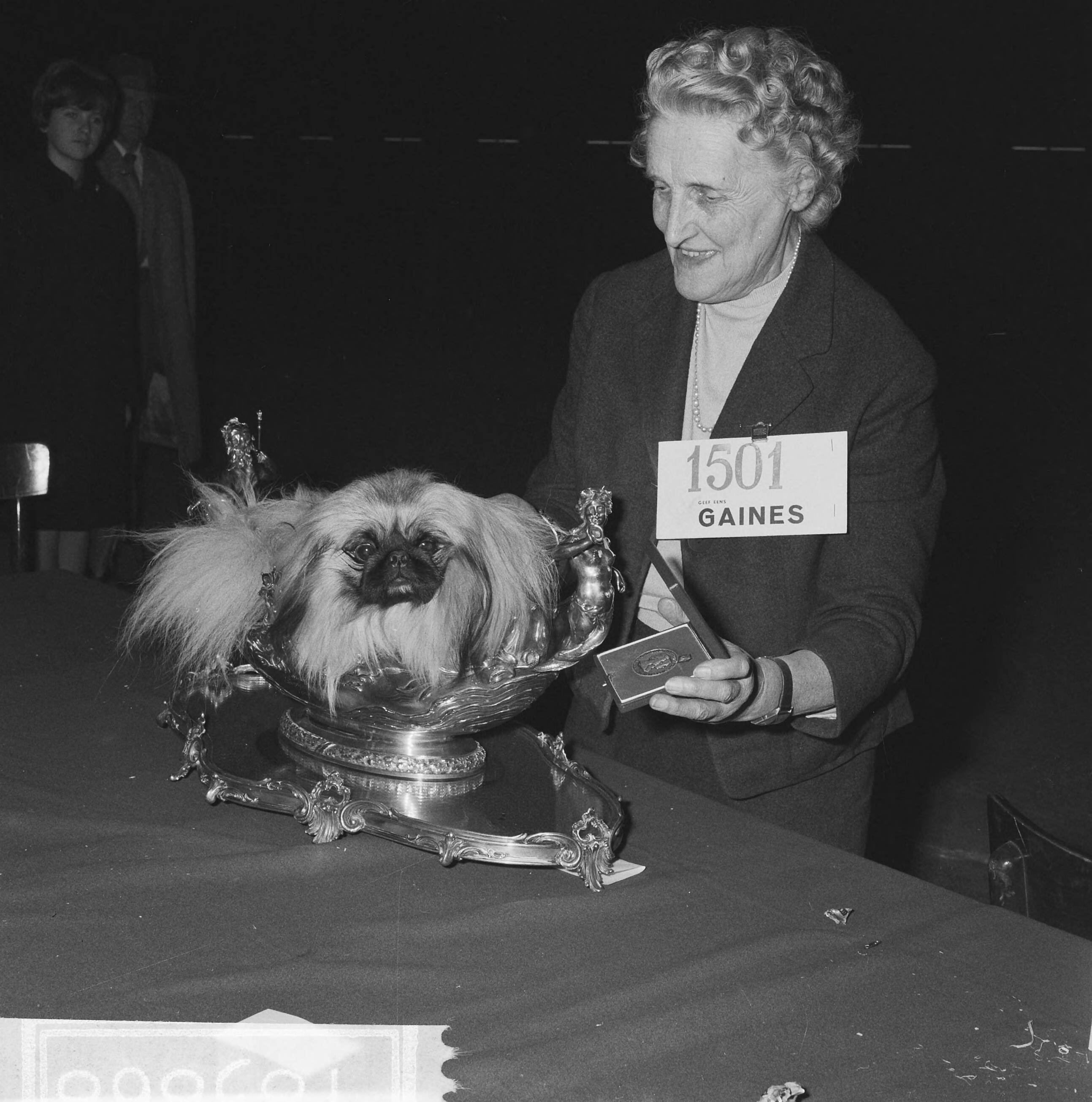 Internationale hondententoonstelling in de RAI te Amsterdam — Winnaar van 1965, de pekinees Sebastiaan of Sedgenon van mevrouw Y. de Noble, liggend in een versierde schaal — Foto: Kroon, Ron / Anefo. Licentie: Set B: Rechtenvrij / Publiek Domein. Bron: Nationaal Archief. http://hdl.handle.net/10648/aacb02c0-d0b4-102d-bcf8-003048976d84