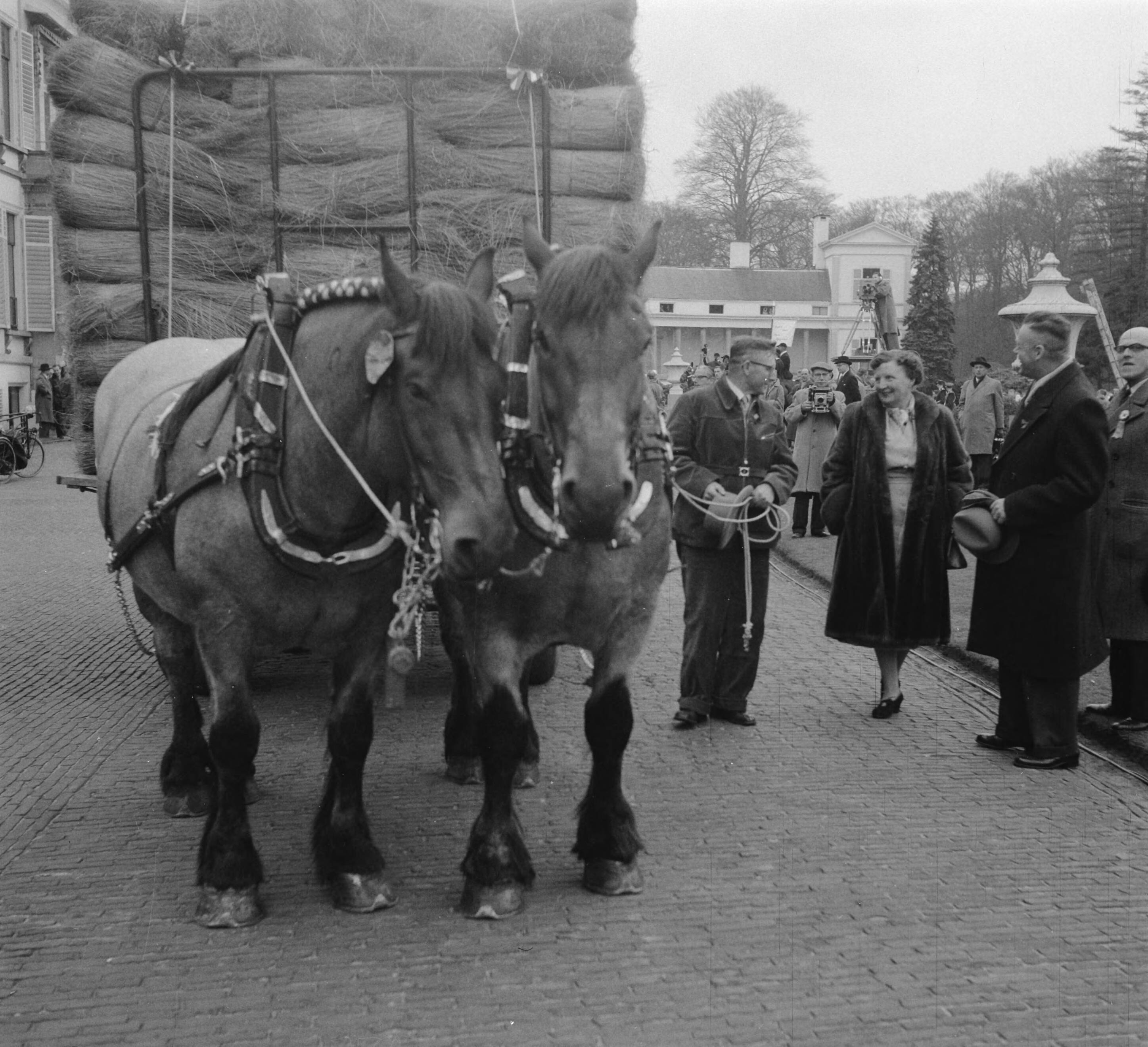 Koninginnedag 1956 — Defilé langs paleis Soestdijk ter gelegenheid van de verjaardag van koningin Juliana. Koningin Juliana spreekt met de man die de paard-en-wagen geladen met riet ment — Foto: Noske, J.D. / Anefo. Licentie: Set B: Rechtenvrij / Publiek Domein. Bron: Nationaal Archief. http://hdl.handle.net/10648/a947120e-d0b4-102d-bcf8-003048976d84