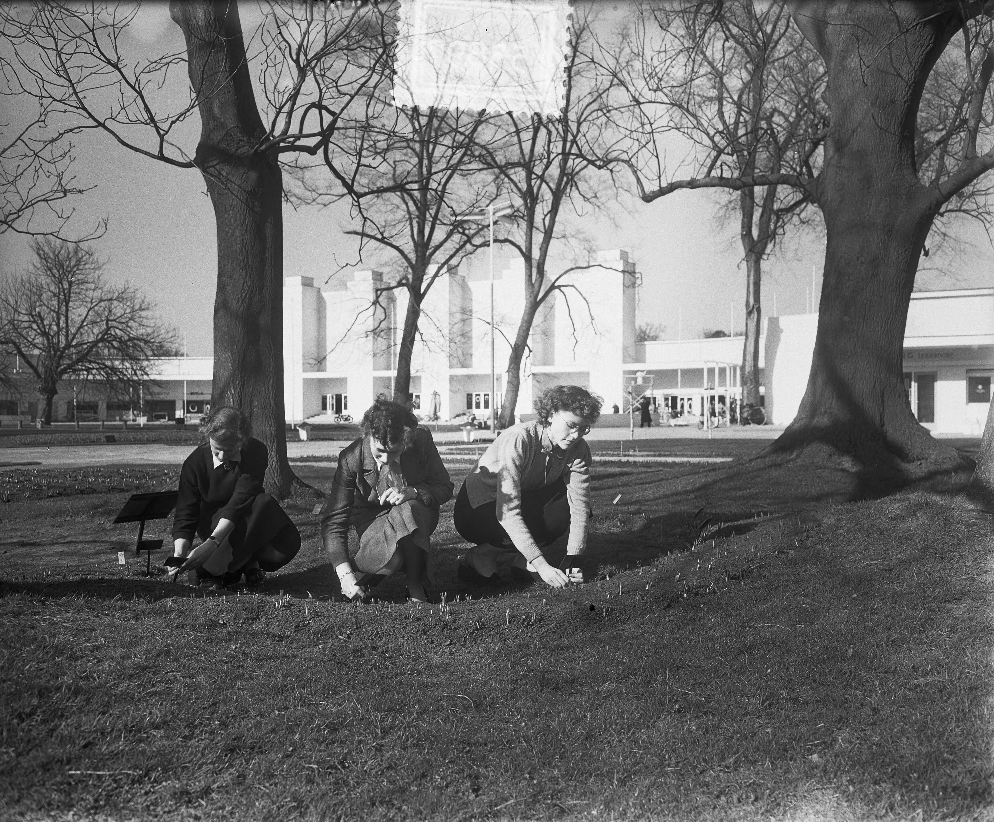 Overzichten bloementuin "Flora" te Heemstede — Foto: Pot, Harry / Anefo. — Licentie: Set B: Rechtenvrij / Publiek Domein. Bron: Nationaal Archief. http://hdl.handle.net/10648/a907e642-d0b4-102d-bcf8-003048976d84