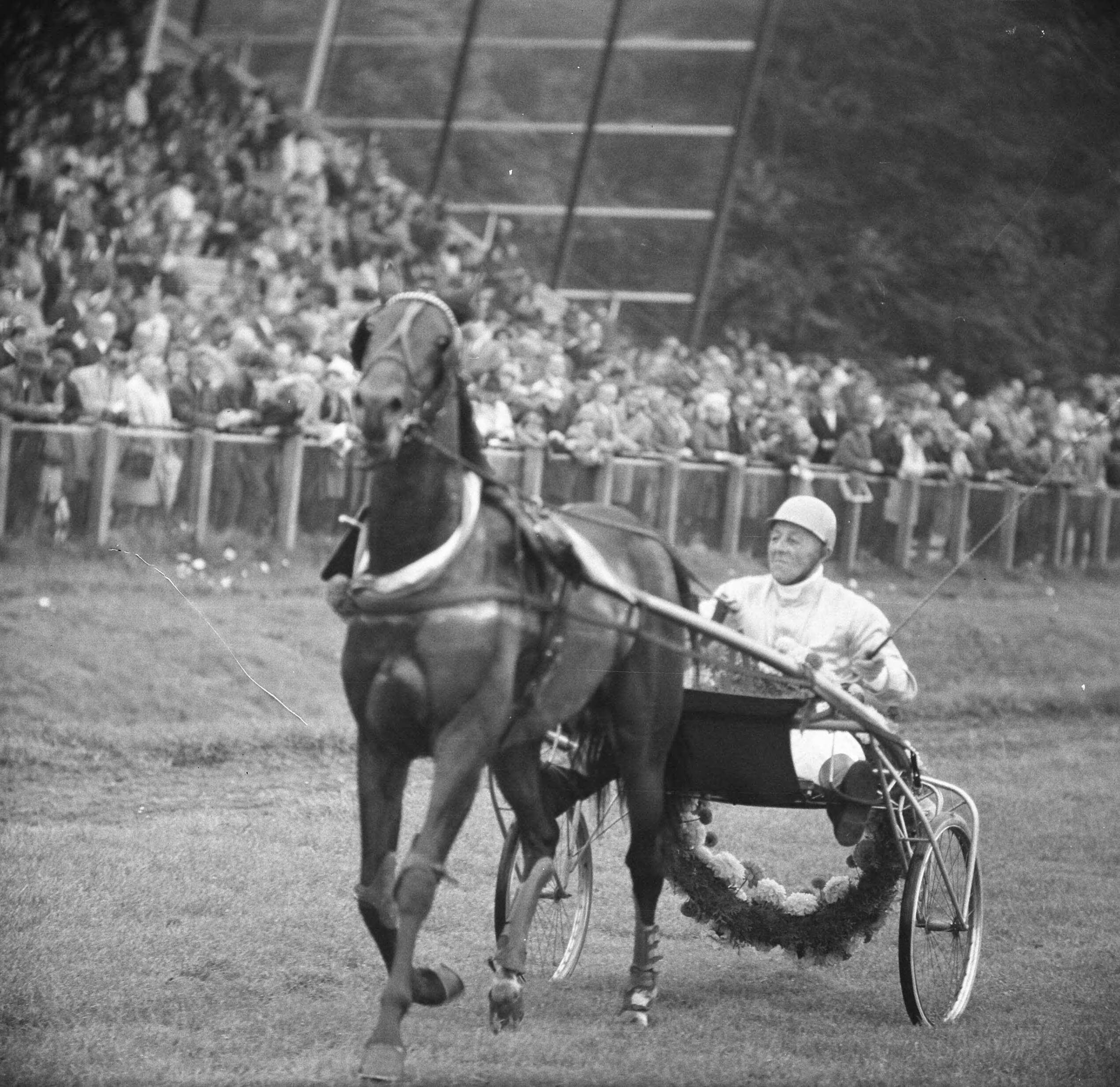 Fotocollectie Anefo — Draversinterland Nederland-België op Duindigt, een winnaar — Foto: Nijs, Jac. de / Anefo. Licentie: Set B: Rechtenvrij / Publiek Domein. Bron: Nationaal Archief. http://hdl.handle.net/10648/aac224ac-d0b4-102d-bcf8-003048976d84