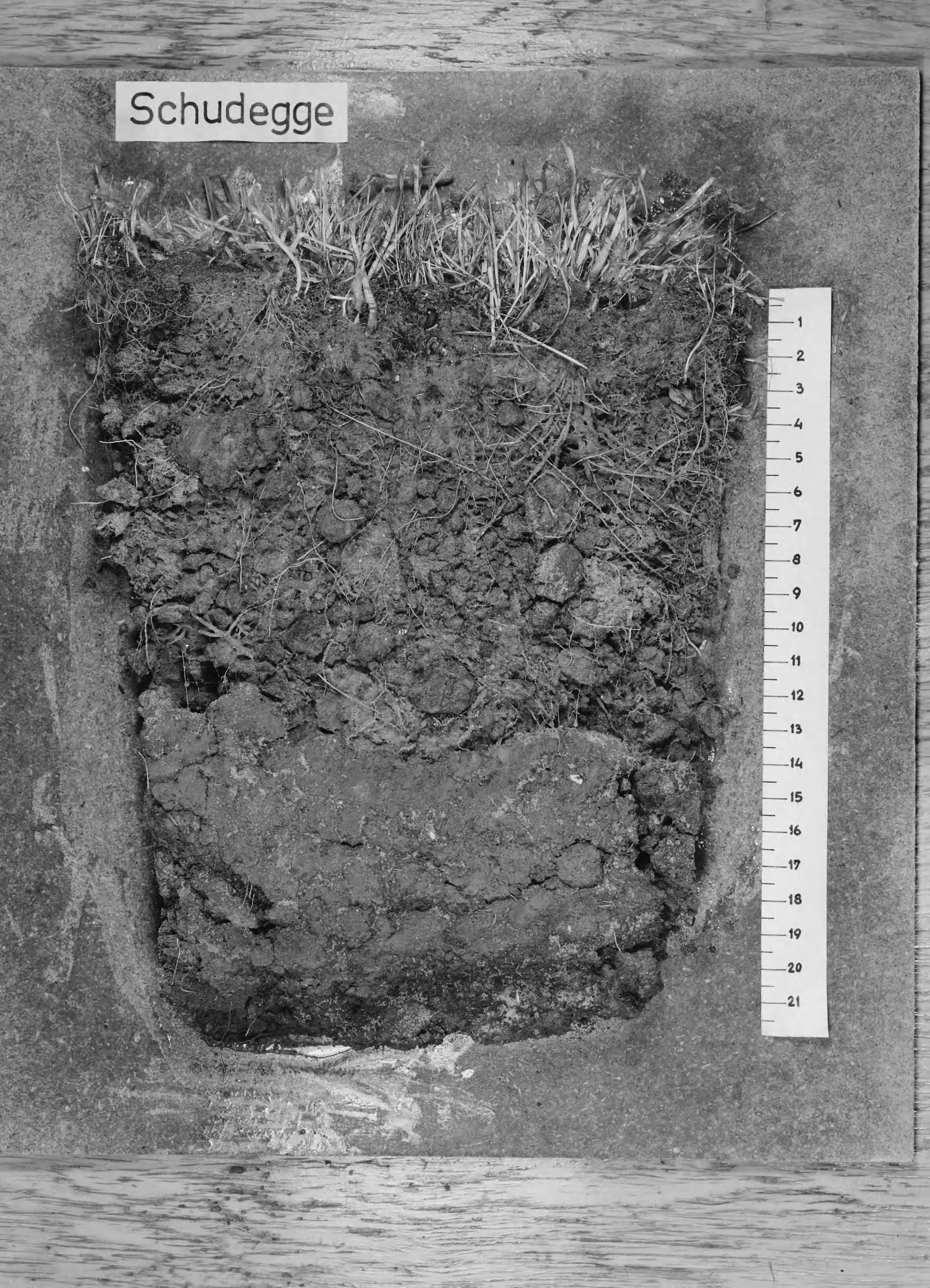 Fotocollectie Nederlandse Heidemaatschappij — Zware zeeklei verschraald met 14cm wadzand, sportveld Nylan Leeuwarden. Met behulp van de schudegge is het zand enigzins gemengd met de er onderliggende klei. Resultaat koplaag blijft mooi zandig — Foto: Wüllschleger, [...] / Heidemij. Licentie: Set B: Rechtenvrij / Publiek Domein. Bron: Nationaal Archief. http://hdl.handle.net/10648/ae6bb8ca-d0b4-102d-bcf8-003048976d84