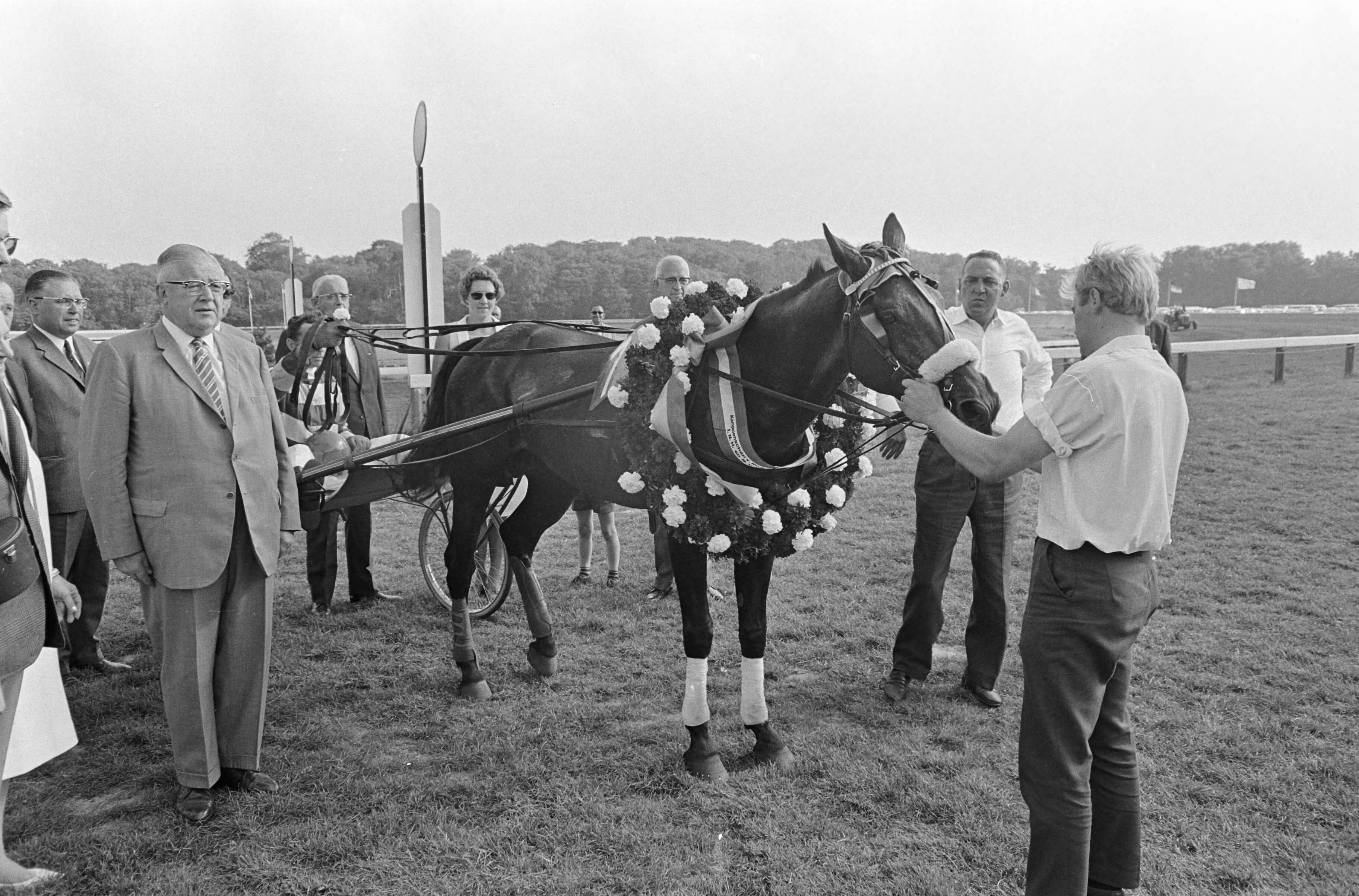 Fotocollectie Anefo — Draverij te Duindigt, Kampioenschap van Nederland, Quicksilver S met krans om nek — Foto: Nijs, Jac. de / Anefo. Licentie: Set B: Rechtenvrij / Publiek Domein. Bron: Nationaal Archief. http://hdl.handle.net/10648/aaf7026c-d0b4-102d-bcf8-003048976d84