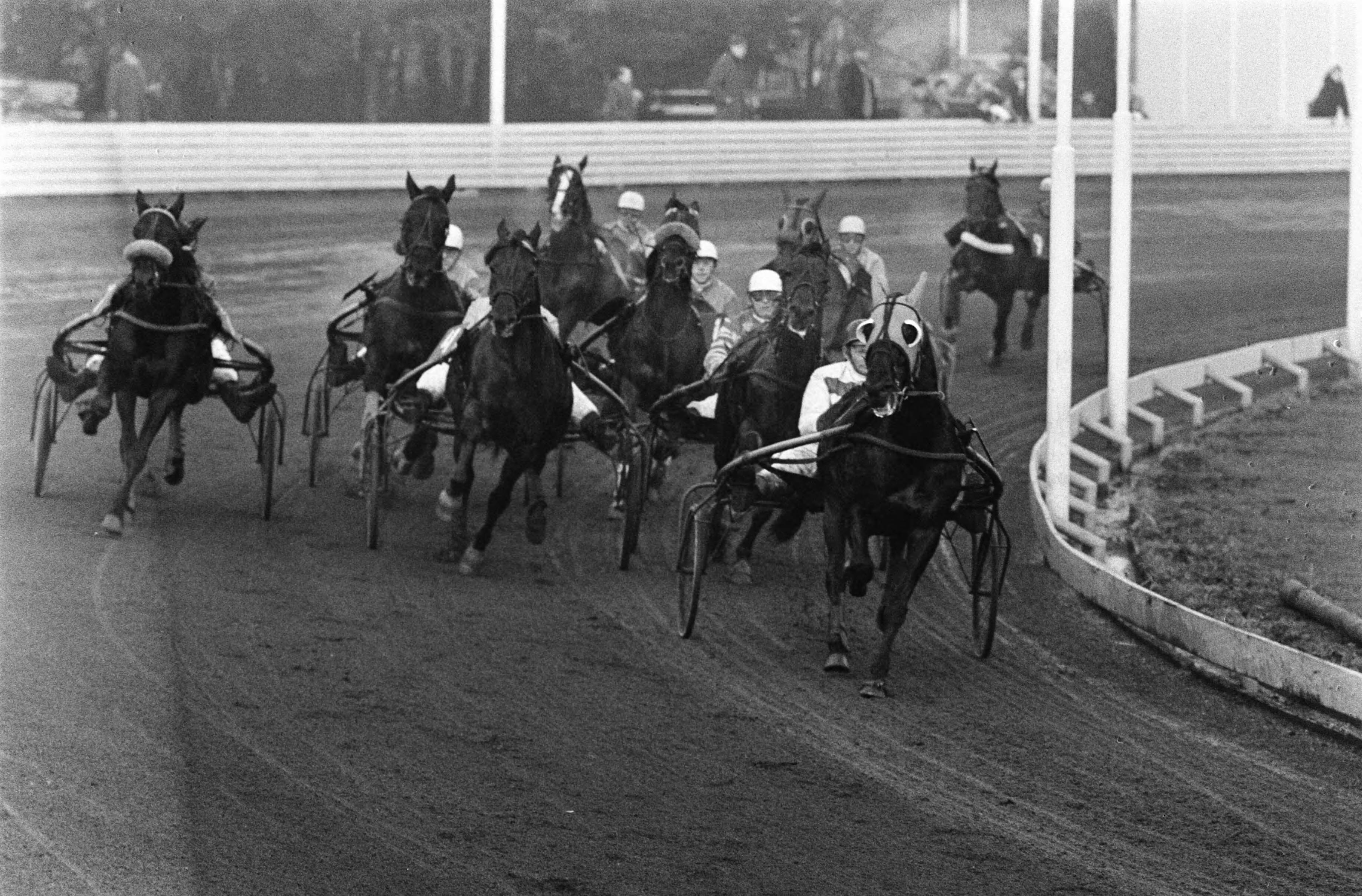 Fotocollectie Anefo — Draverijen om Kerstprijs op renbaan te Hilversum. Rechts vooraan Calumet Bulwark en geheel links Yellow Six — Foto: Koch, Eric / Anefo. Licentie: Set B: Rechtenvrij / Publiek Domein. Bron: Nationaal Archief. http://hdl.handle.net/10648/ab871b7c-d0b4-102d-bcf8-003048976d84