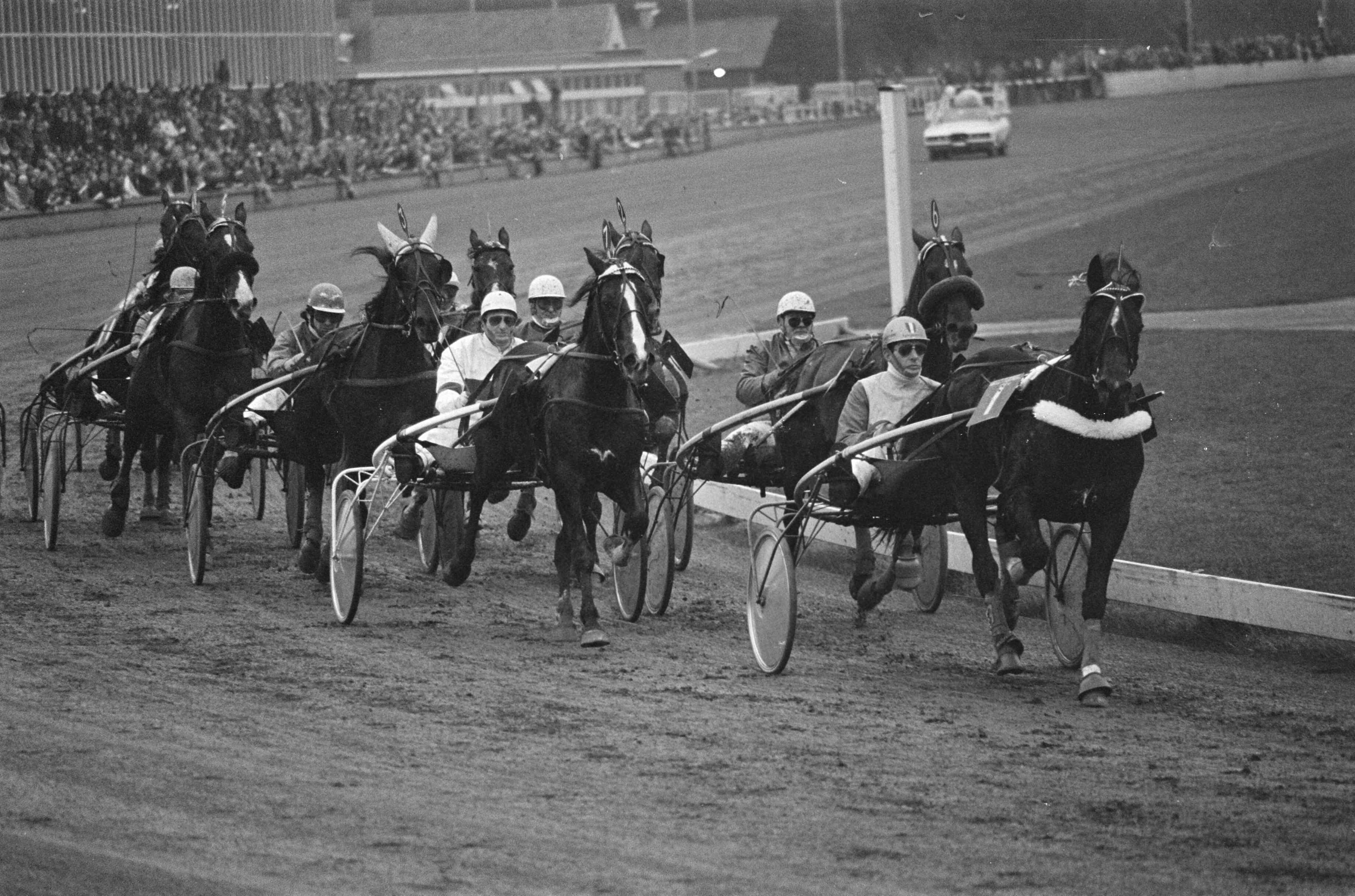 Fotocollectie Anefo — Grote kerstprijs op Hilversum; Wagenaar behaalde met Henri Buitenzorg zijn tweehonderdste overwinning; Henri Buitenzorg aan kop van het veld — Foto: Mieremet, Rob / Anefo. Licentie: Set B: Rechtenvrij / Publiek Domein. Bron: Nationaal Archief. http://hdl.handle.net/10648/ac79e88e-d0b4-102d-bcf8-003048976d84