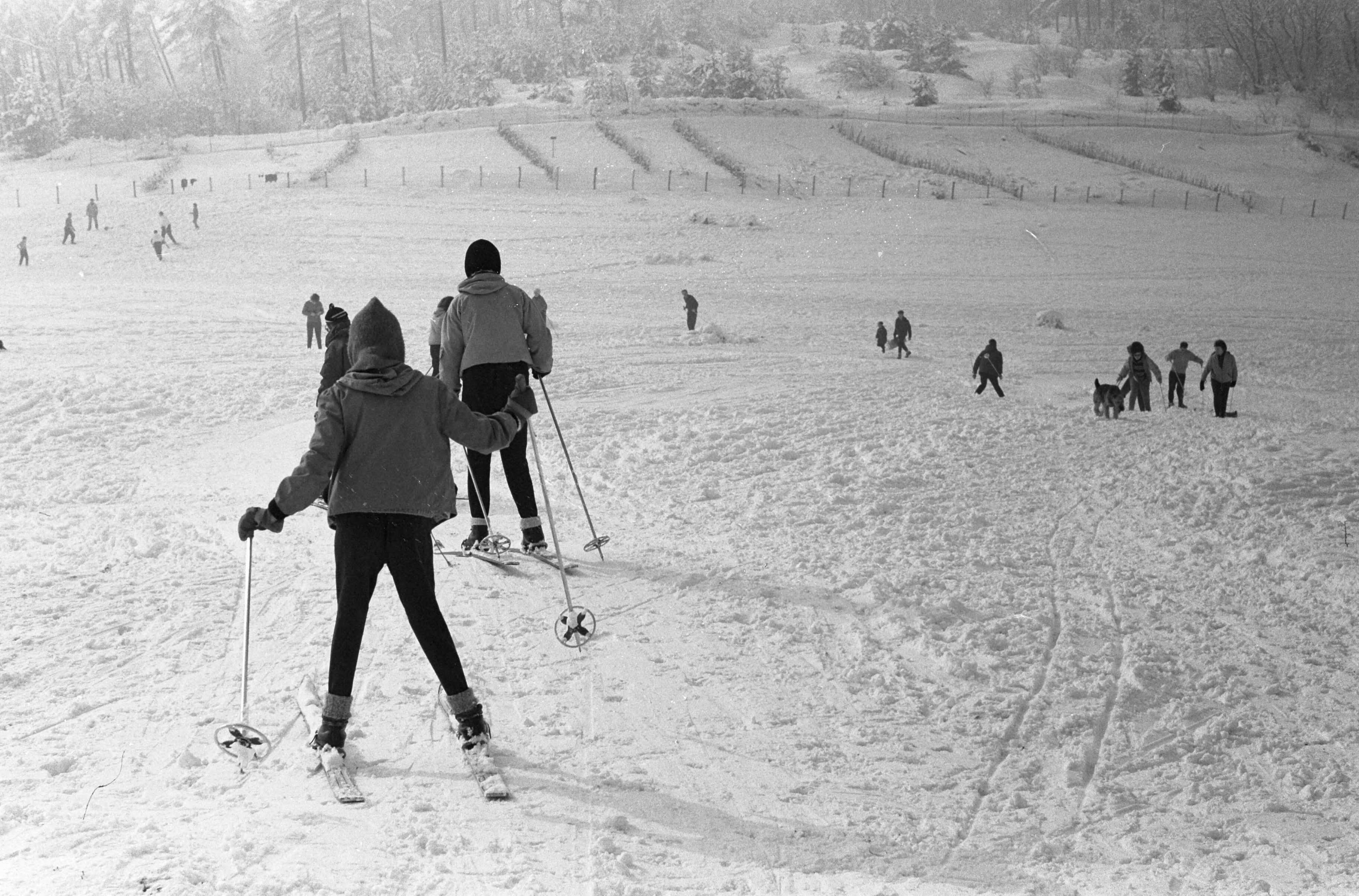Fotocollectie Anefo — Wintersport op de Blinkert in Overveen — Foto: Pot, Harry / Anefo. Licentie: Set B: Rechtenvrij / Publiek Domein. Bron: Nationaal Archief. http://hdl.handle.net/10648/a9fb5c00-d0b4-102d-bcf8-003048976d84