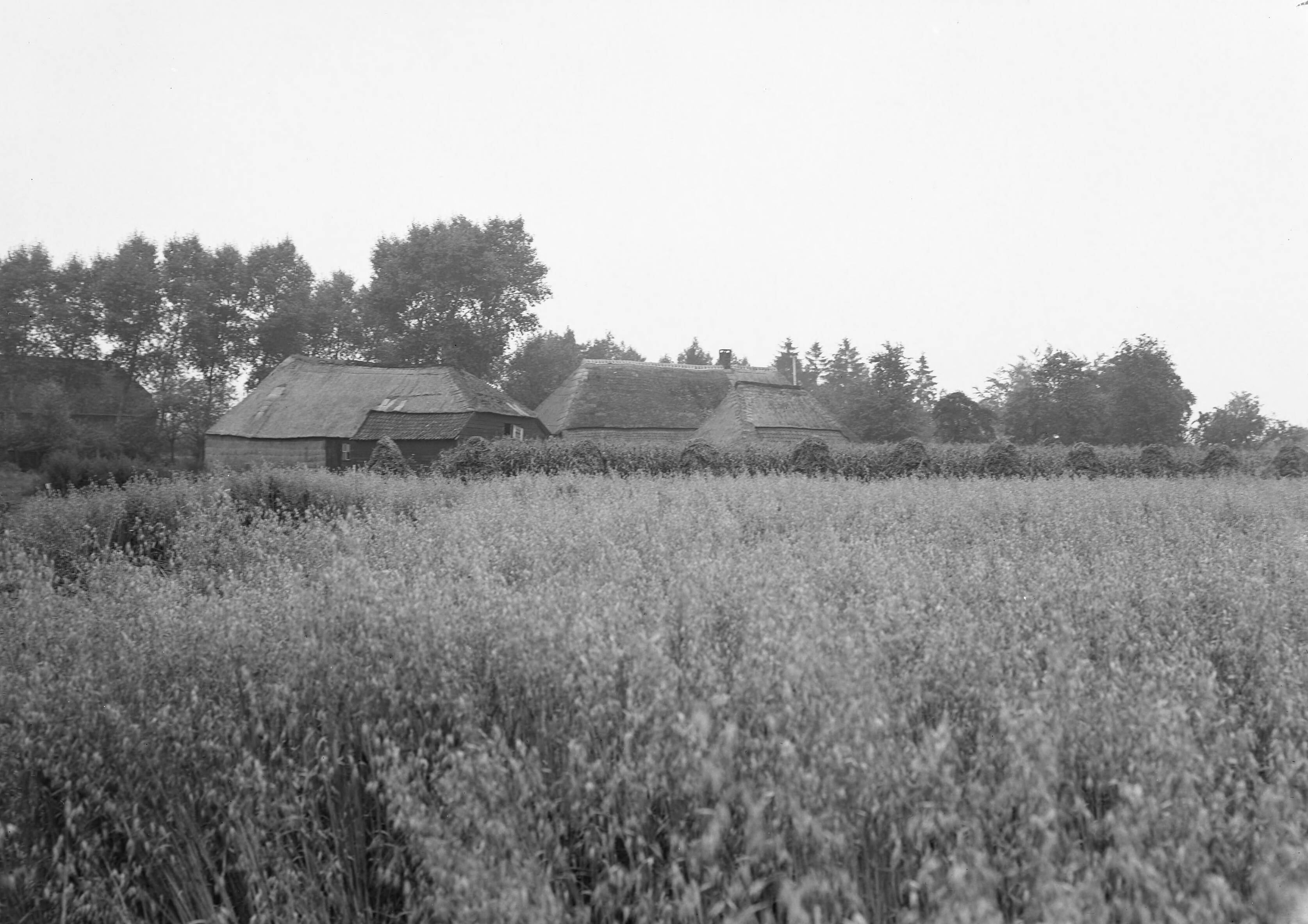 Fotocollectie Nederlandse Heidemaatschappij — Boerderij te Esch — Foto: Fotograaf Onbekend / Heidemij. Licentie: Set B: Rechtenvrij / Publiek Domein. Bron: Nationaal Archief. http://hdl.handle.net/10648/ae444fc4-d0b4-102d-bcf8-003048976d84