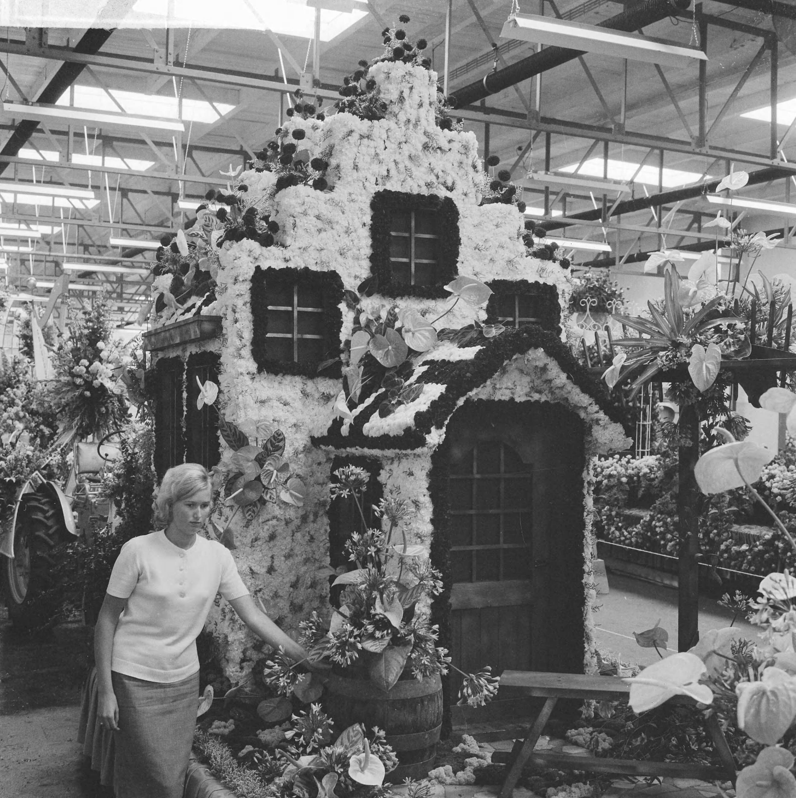 Fotocollectie Anefo — Bloemencorso in Aalsmeer, men was vrijdag druk bezig de wagens op te tuigen — Foto: Koch, Eric / Anefo. Licentie: Set B: Rechtenvrij / Publiek Domein. Bron: Nationaal Archief. http://hdl.handle.net/10648/aa16bfb8-d0b4-102d-bcf8-003048976d84
