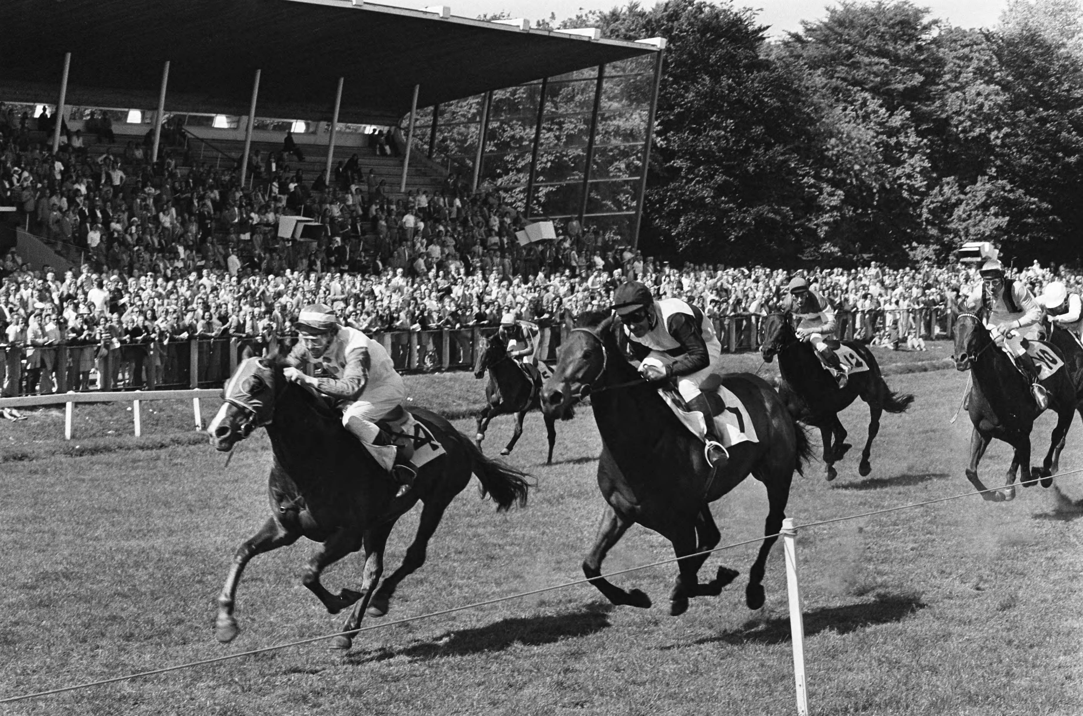 Grote Prijs Amateurs op Duindigt — Speedy Gonzales (4) met L. Swärd (links) finisht als eerste, gevolgd door Earlydiso met R. de Terry (7) — Foto: Verhoeff, Bert / Anefo. Licentie: Set B: Rechtenvrij / Publiek Domein. Bron: Nationaal Archief. http://hdl.handle.net/10648/ac6aa1d0-d0b4-102d-bcf8-003048976d84