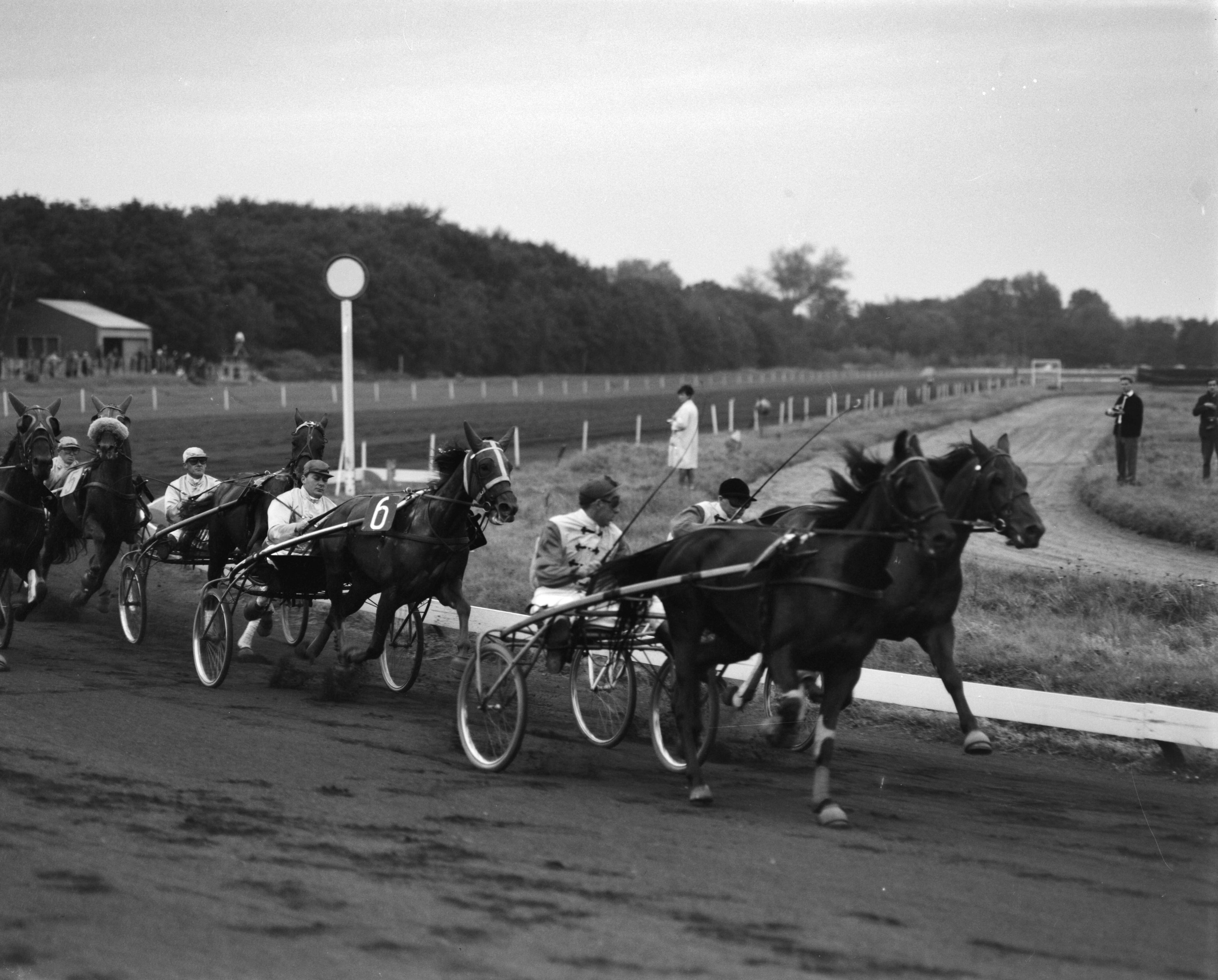 Fotocollectie Anefo — Draverijen te Duindigt — Foto: Bilsen, Joop van / Anefo. Licentie: Set B: Rechtenvrij / Publiek Domein. Bron: Nationaal Archief. http://hdl.handle.net/10648/aa1987a2-d0b4-102d-bcf8-003048976d84