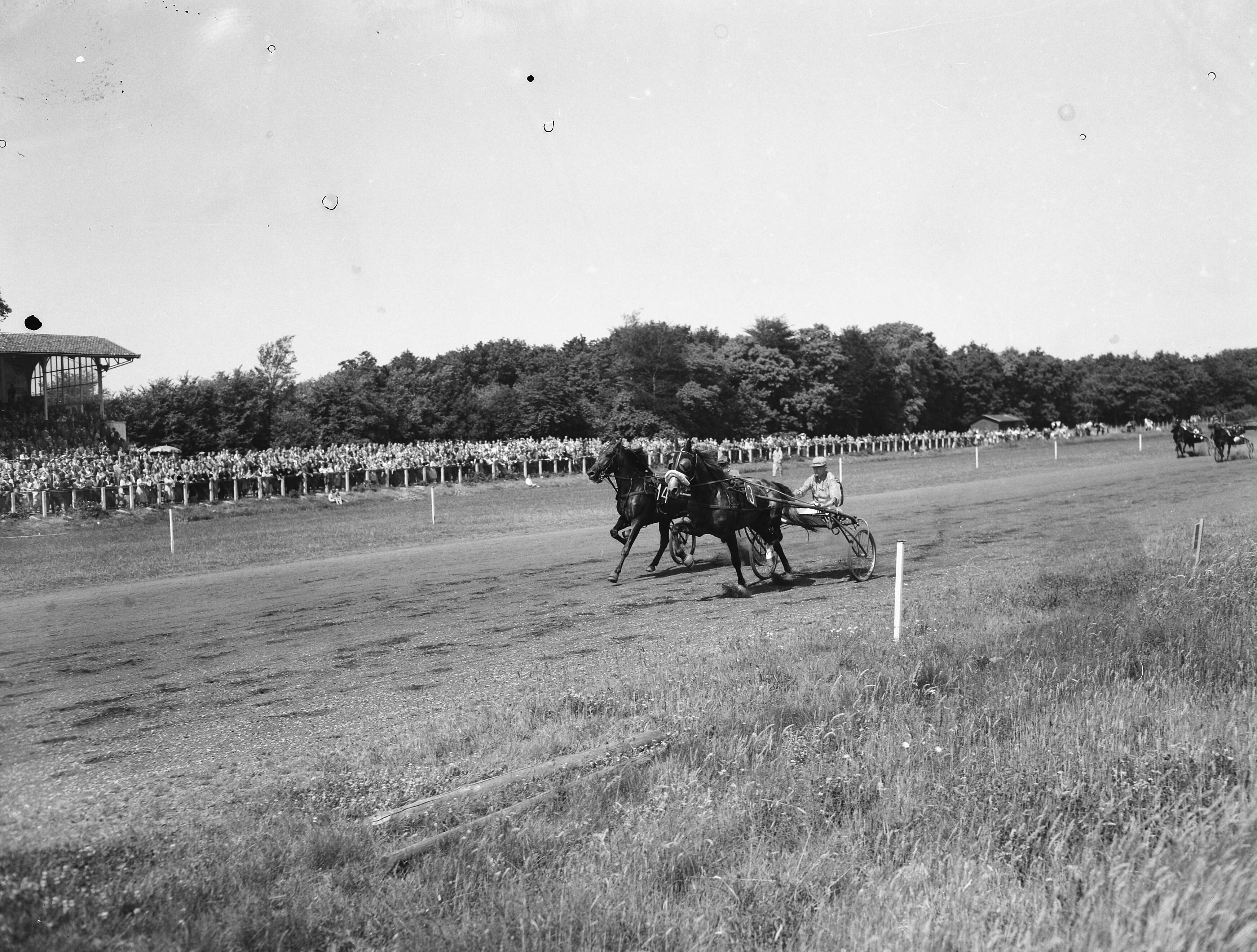 Fotocollectie Anefo — Paardenrennen. Koers op Duindigt — Foto: Noske, J.D. / Anefo. Licentie: Set B: Rechtenvrij / Publiek Domein. Bron: Nationaal Archief. http://hdl.handle.net/10648/a93878a2-d0b4-102d-bcf8-003048976d84