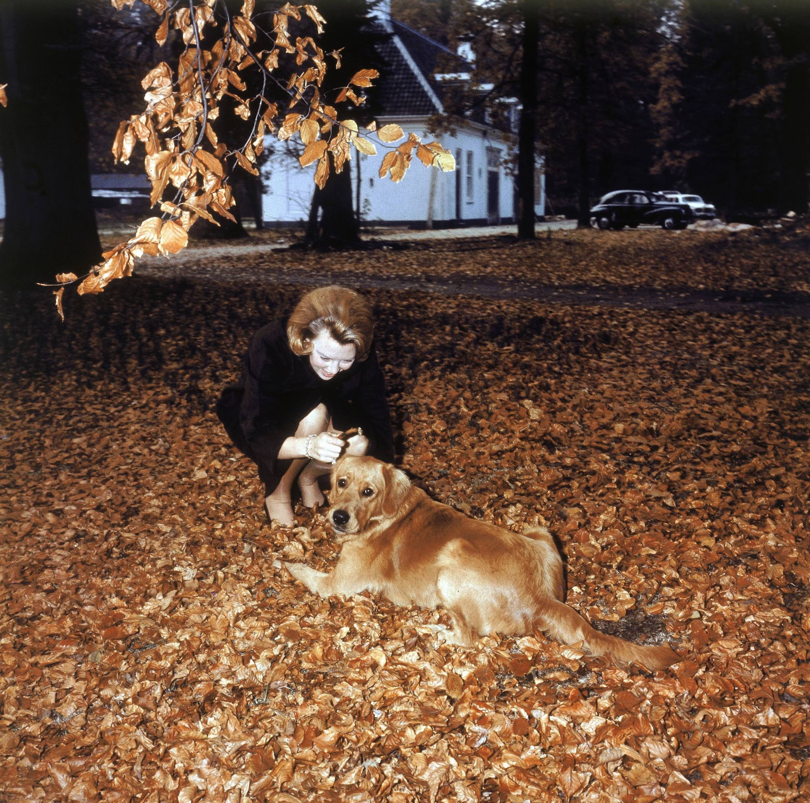 Fotocollectie RVD / Koninklijk Huis — Prinses Beatrix met hond Joris bij Kasteel Drakensteyn — Foto: Reijken, Tiemen van der / RVD. Licentie: Set B: Rechtenvrij / Publiek Domein. Bron: Nationaal Archief. http://hdl.handle.net/10648/afb0f9ac-d0b4-102d-bcf8-003048976d84