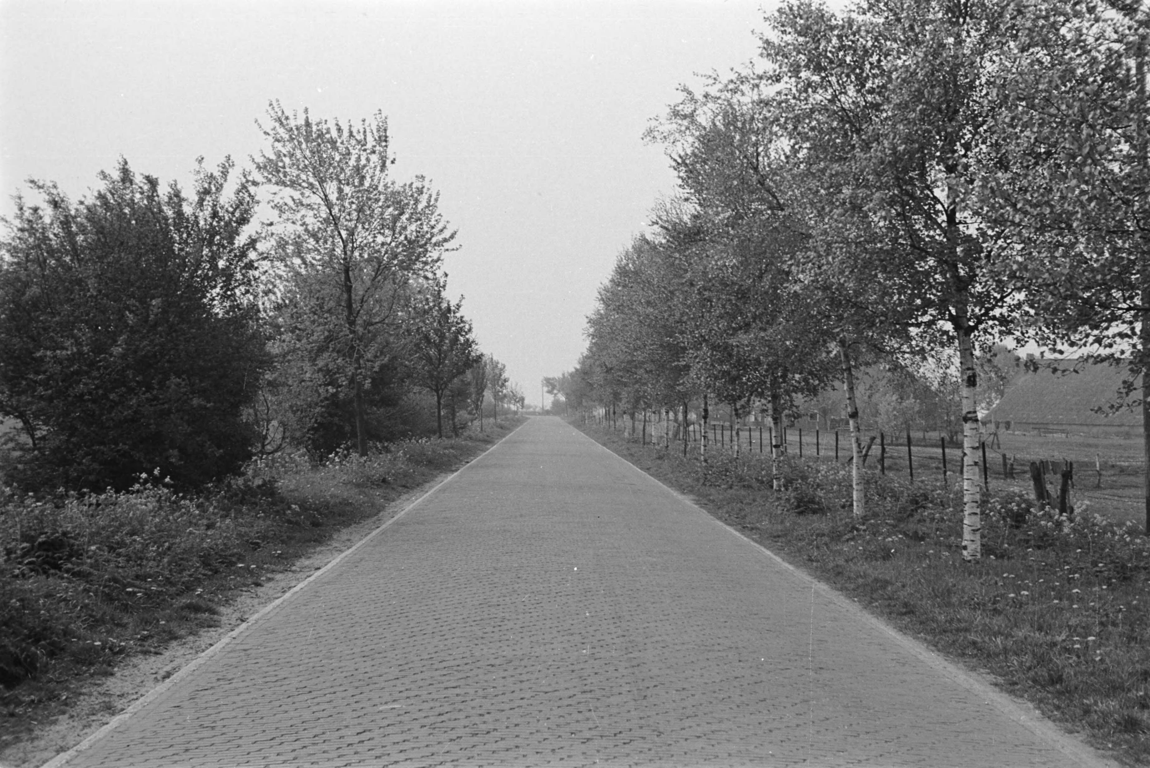 Fotocollectie Nederlandse Heidemaatschappij — Straatweg Vlagtwedde - ter Apel — Foto: Fotograaf Onbekend / Heidemij. Licentie: Set B: Rechtenvrij / Publiek Domein. Bron: Nationaal Archief. http://hdl.handle.net/10648/ae892856-d0b4-102d-bcf8-003048976d84