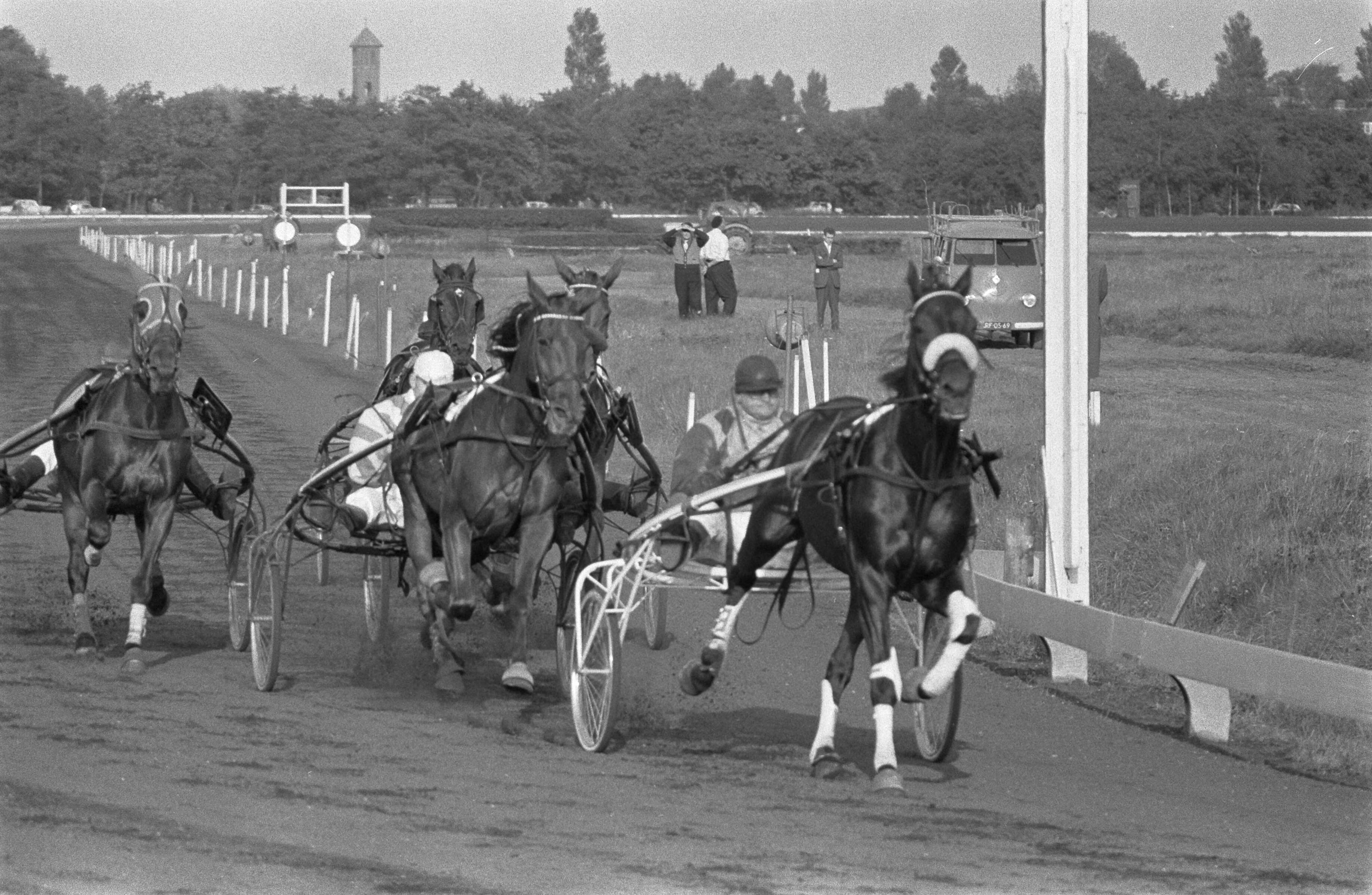 Fotocollectie Anefo — Draverskampioenschap van Nederland op Duindigt, finish Hairos II (winnaar) — Foto: Rossem, Wim van / Anefo. Licentie: Set B: Rechtenvrij / Publiek Domein. Bron: Nationaal Archief. http://hdl.handle.net/10648/a9ba528c-d0b4-102d-bcf8-003048976d84
