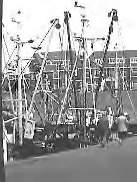 Fotocollectie Rijksvoorlichtingsdienst Eigen — dias vlaggetjesdag scheveningen — Foto: Schuurman, Ralph L. / RVD. Licentie: Set B: Rechtenvrij / Publiek Domein. Bron: Nationaal Archief. http://hdl.handle.net/10648/af733626-d0b4-102d-bcf8-003048976d84