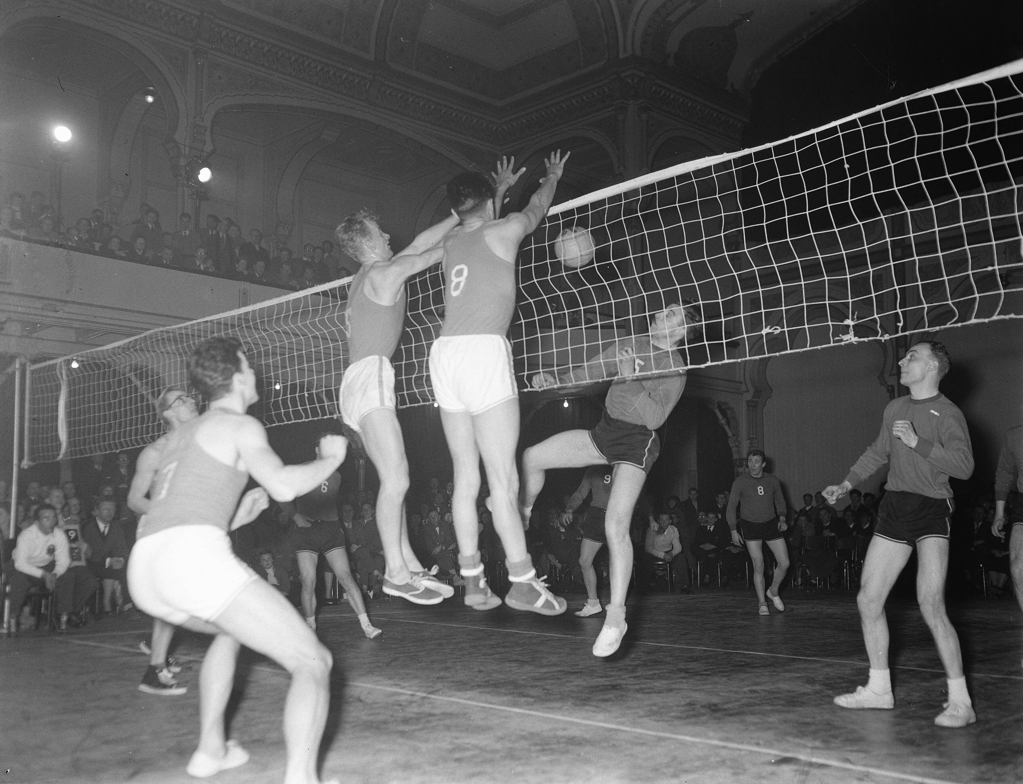 Fotocollectie Anefo — Volleybal. Nederland tegen België 3-1 — Foto: Rossem, Wim van / Anefo. Licentie: Set B: Rechtenvrij / Publiek Domein. Bron: Nationaal Archief. http://hdl.handle.net/10648/a943b370-d0b4-102d-bcf8-003048976d84