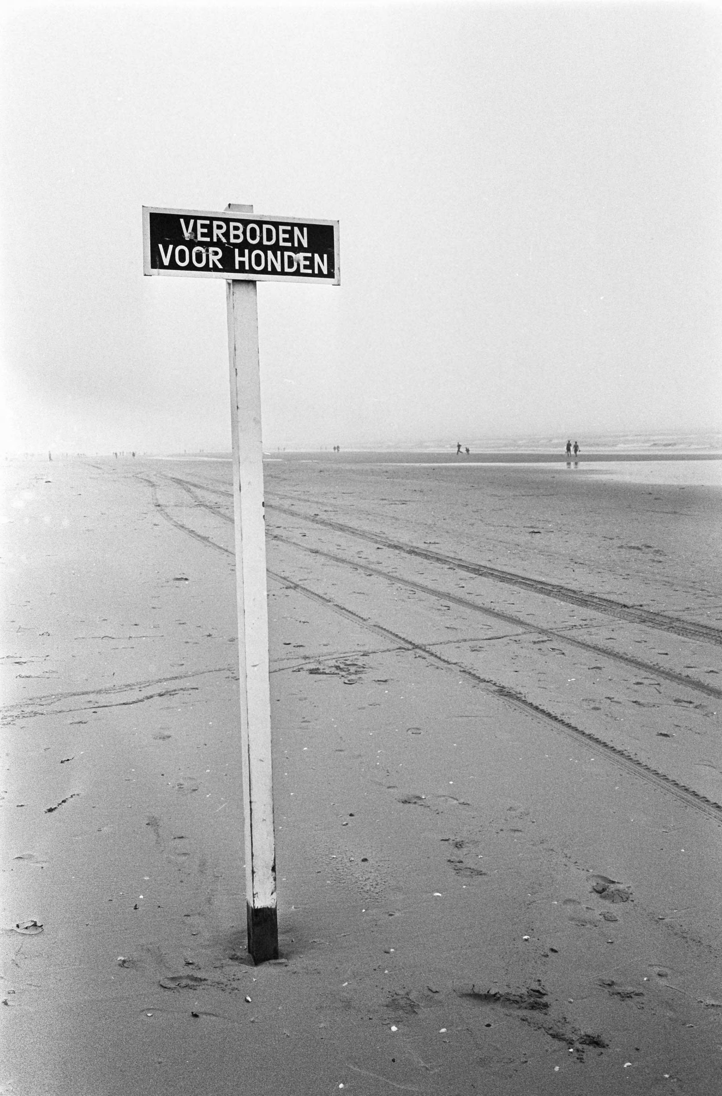Fotocollectie Anefo — Zomer 1966 te Zandvoort, verlaten strand (met bordje verboden voor honden) — Foto: Koch, Eric / Anefo. Licentie: Set B: Rechtenvrij / Publiek Domein. Bron: Nationaal Archief. http://hdl.handle.net/10648/aaf3895c-d0b4-102d-bcf8-003048976d84
