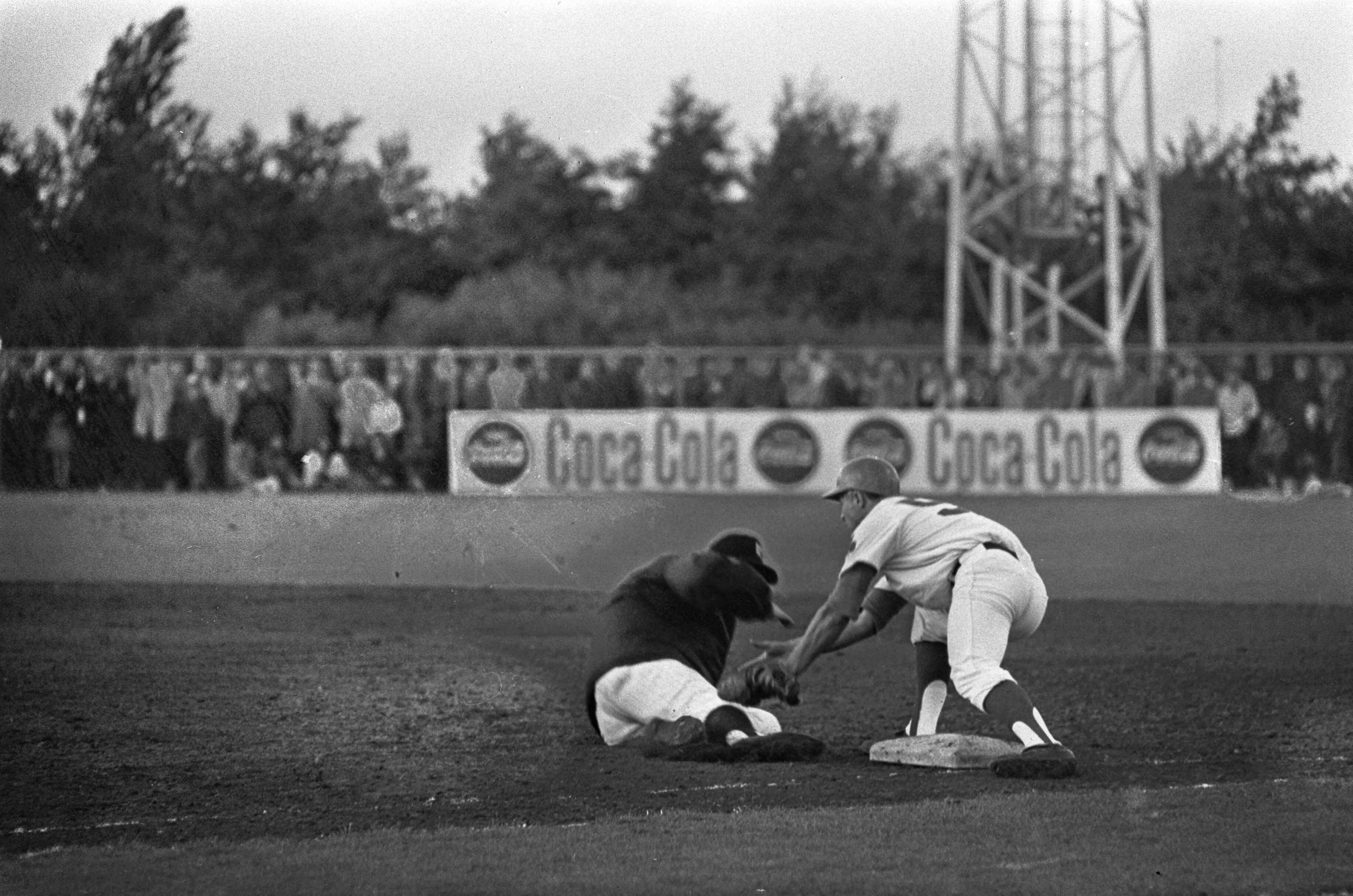 Fotocollectie Anefo — Haarlemse Honkbalweek. Nederland tegen The Sullivans. Spelmoment, Jack Benedict tikt Herman Beidschat uit — Foto: Kroon, Ron / Anefo. Licentie: Set B: Rechtenvrij / Publiek Domein. Bron: Nationaal Archief. http://hdl.handle.net/10648/ab47b48c-d0b4-102d-bcf8-003048976d84