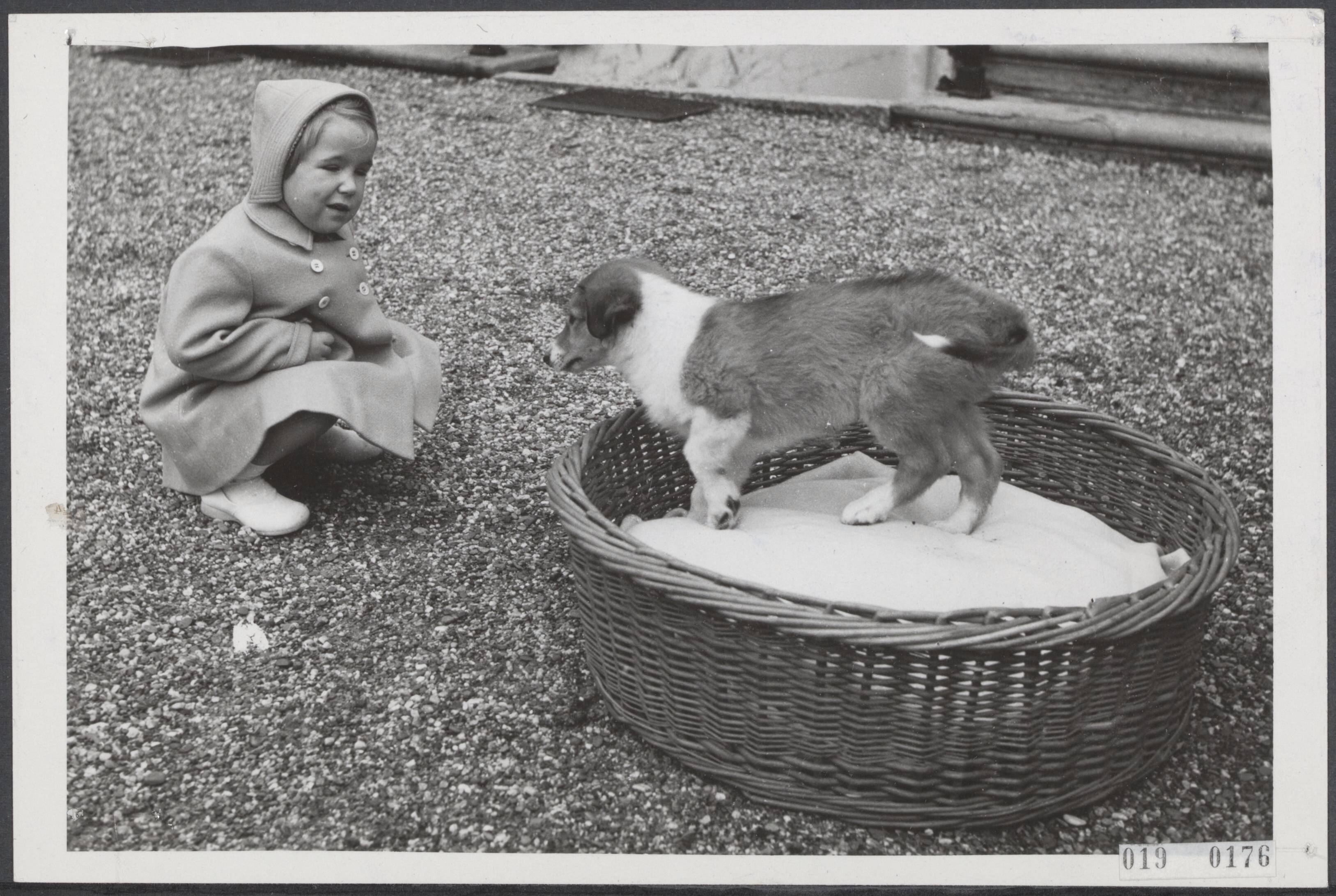 Fotocollectie Elsevier Binnenland — Prinses Marijke (Christina) met haar nieuwe hond — Foto: Fotograaf Onbekend / Anefo. Licentie: Set B: Rechtenvrij / Publiek Domein. Bron: Nationaal Archief. http://hdl.handle.net/10648/adc5ba6a-d0b4-102d-bcf8-003048976d84